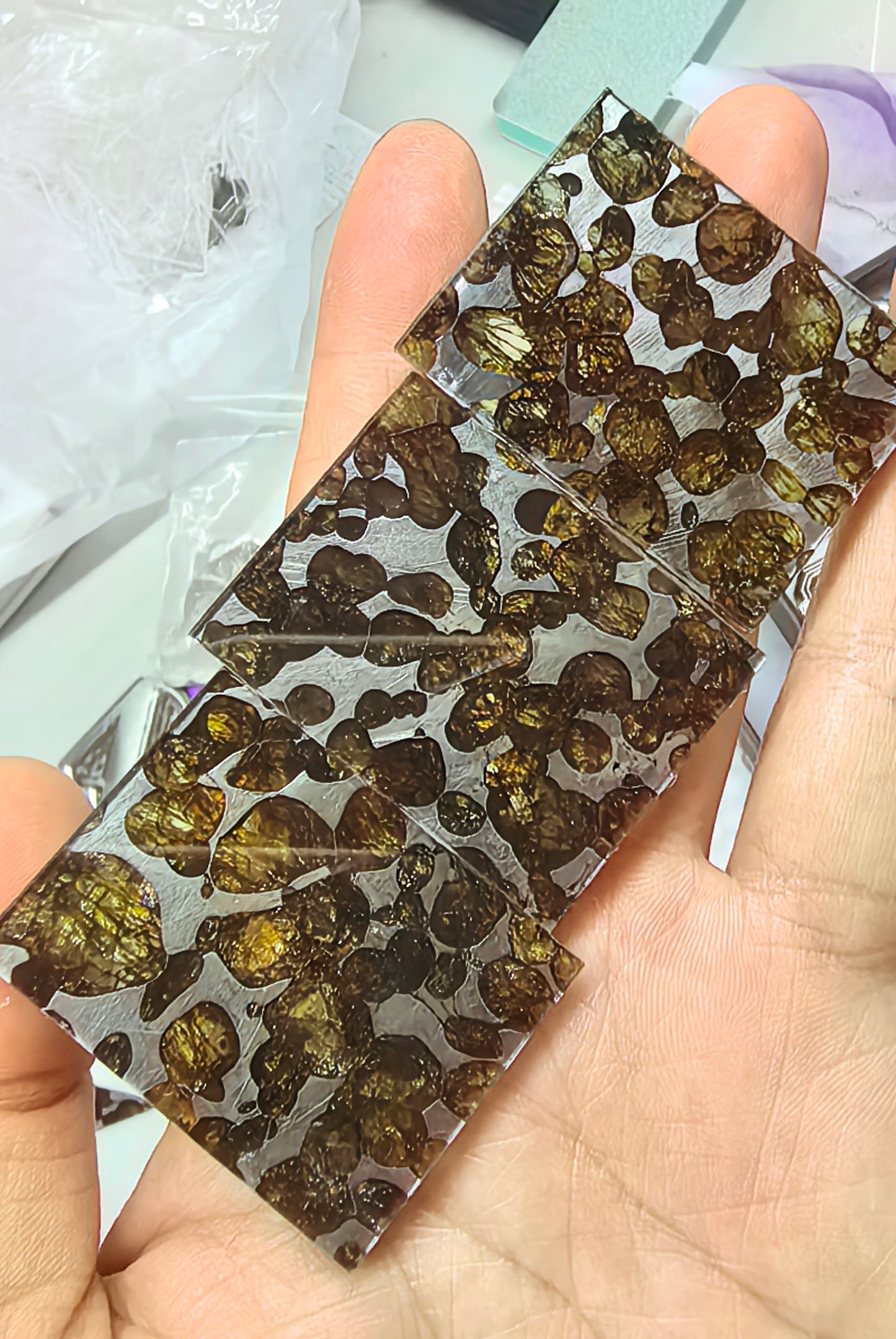 Sericho Pallasite/Meteorite Pendant/Pallasite Pendant/Pallasite/Meteorite Accessories