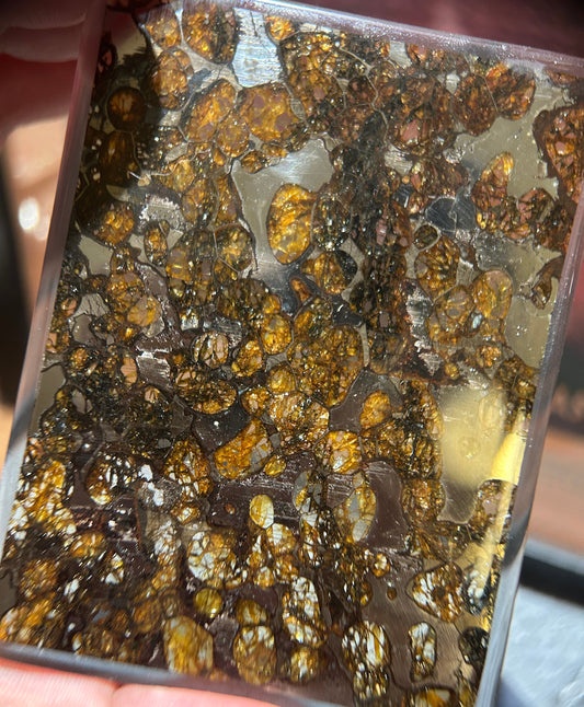 70*100mm Large Sericho Pallasite/Meteorite Pendant/Pallasite Pendant/Pallasite/Pallasite Ornament/Meteorite Accessories