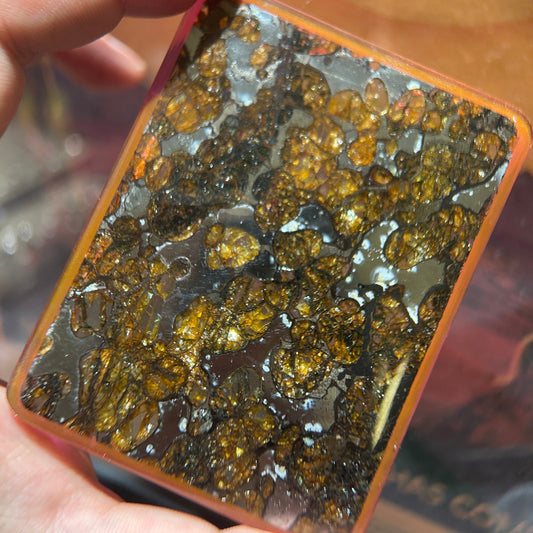 60*80mm Large Sericho Pallasite With Neon Glow/Meteorite Pendant/Pallasite Pendant/Pallasite Ornament/Pallaiste Slice/Pallasite Plaque