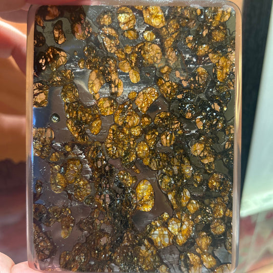 70*100mm Großer Sericho Pallasit/Meteoriten-Anhänger/Pallasit-Anhänger/Pallasit/Pallasit-Ornament/Meteoriten-Zubehör