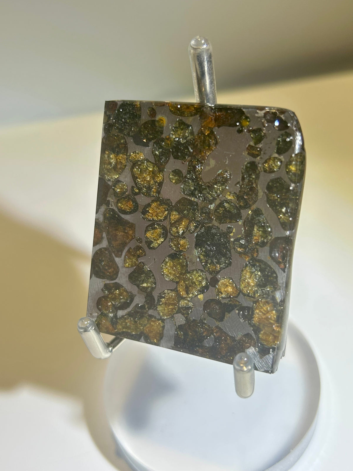 82g Sericho Pallasite Endcut / Meteorite Slice/ Pallasite Pendant / Meteorite Endcut