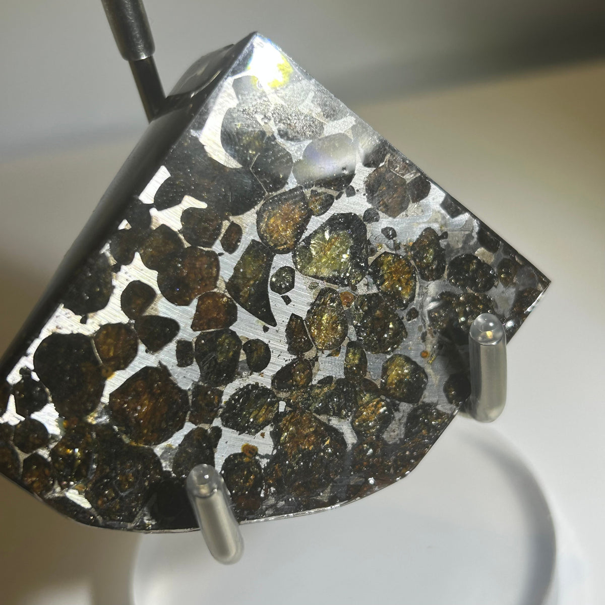 78g Sericho Pallasite Endcut / Meteorite Pendant / Pallasite Slice / Meteorite Specimen