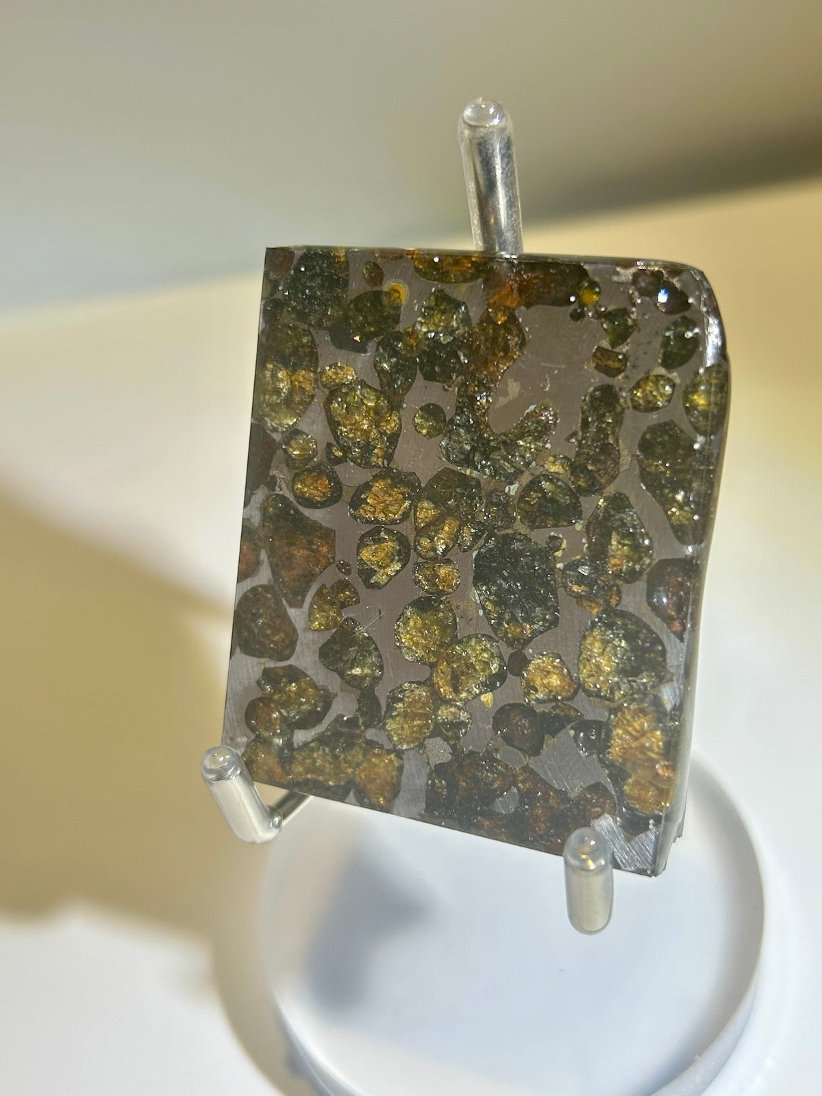 82g Sericho Pallasite Endcut / Meteorite Slice/ Pallasite Pendant / Meteorite Endcut