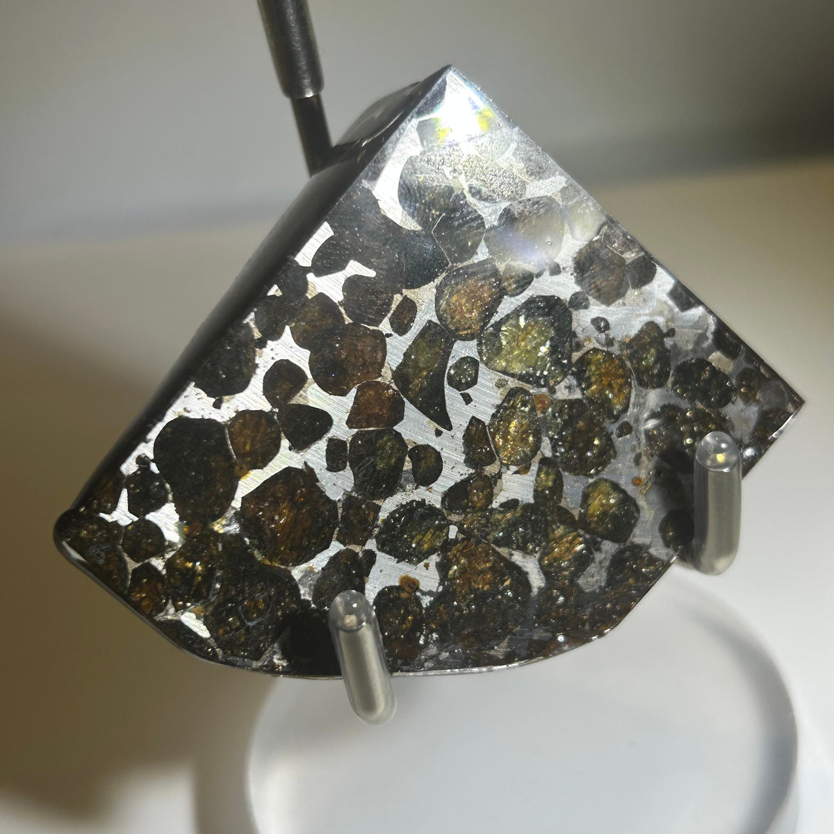 78g Sericho Pallasite Endcut / Meteorite Pendant / Pallasite Slice / Meteorite Specimen
