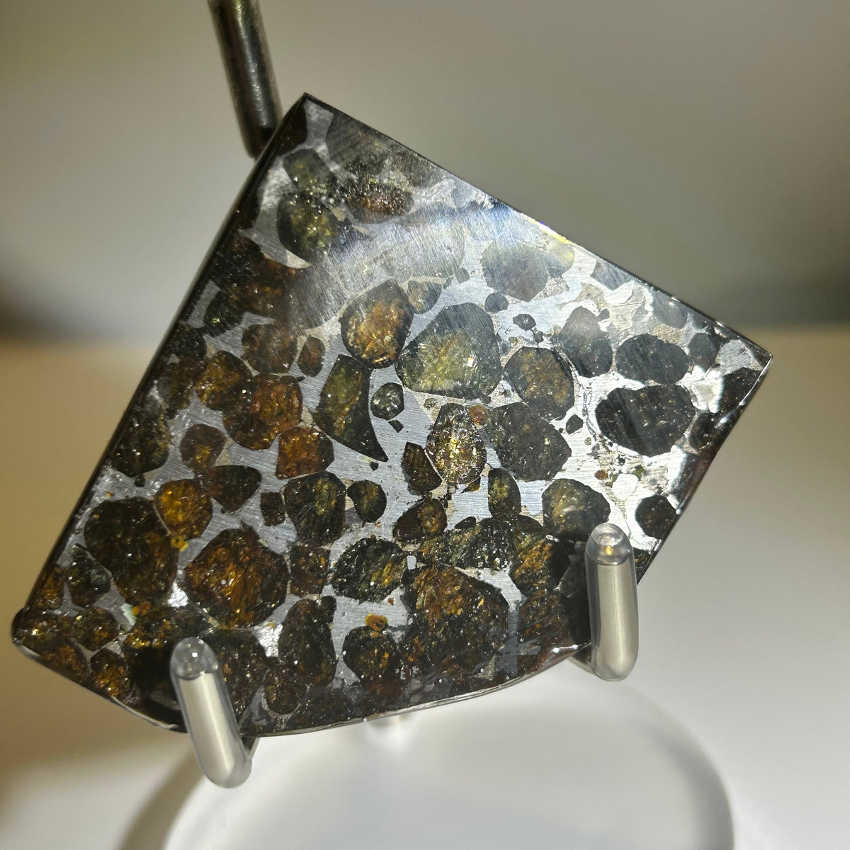 78g Sericho Pallasite Endcut / Meteorite Pendant / Pallasite Slice / Meteorite Specimen