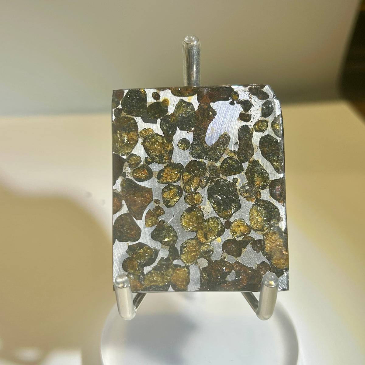 82g Sericho Pallasite Endcut / Meteorite Slice/ Pallasite Pendant / Meteorite Endcut