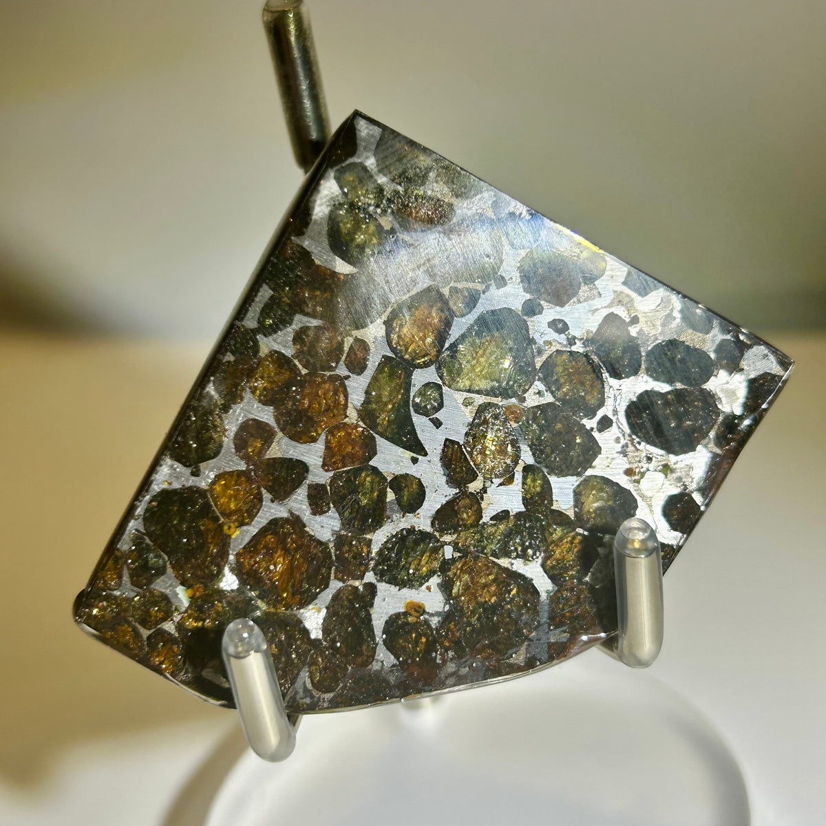 78g Sericho Pallasite Endcut / Meteorite Pendant / Pallasite Slice / Meteorite Specimen