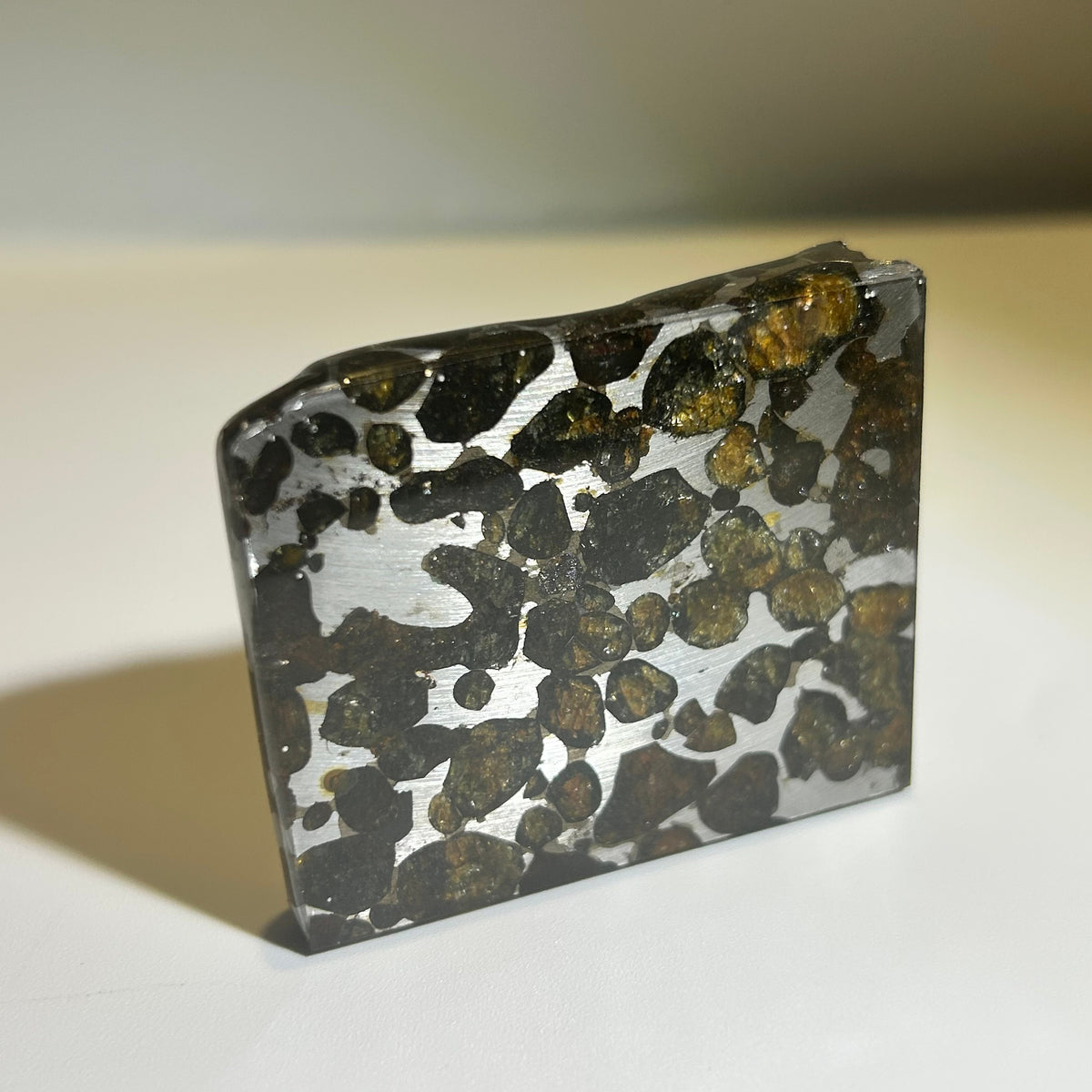 82g Sericho Pallasite Endcut / Meteorite Slice/ Pallasite Pendant / Meteorite Endcut