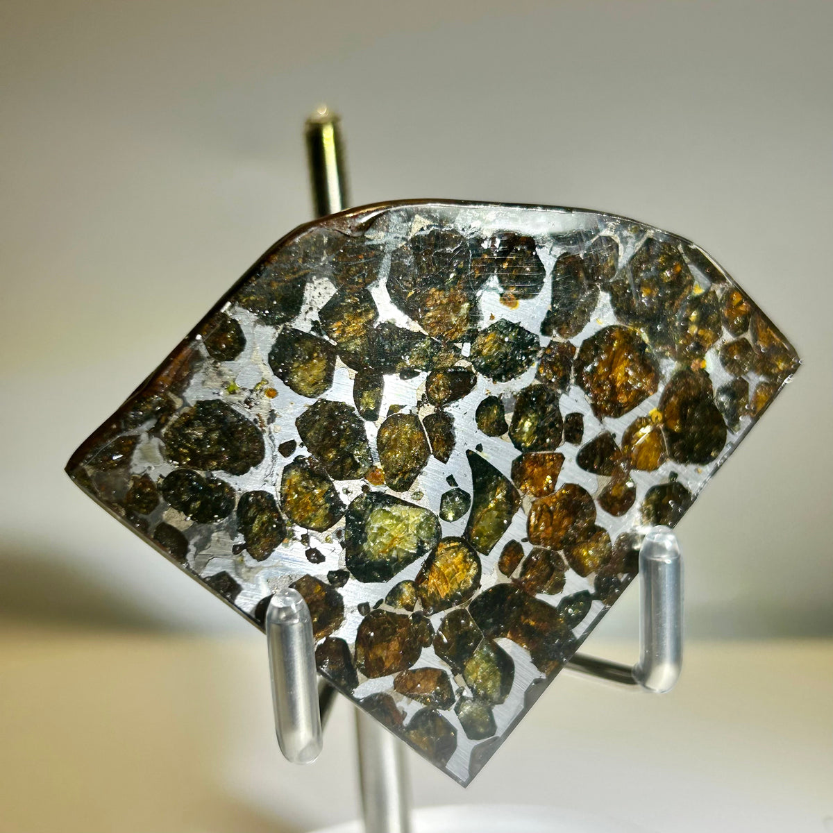 78g Sericho Pallasite Endcut / Meteorite Pendant / Pallasite Slice / Meteorite Specimen