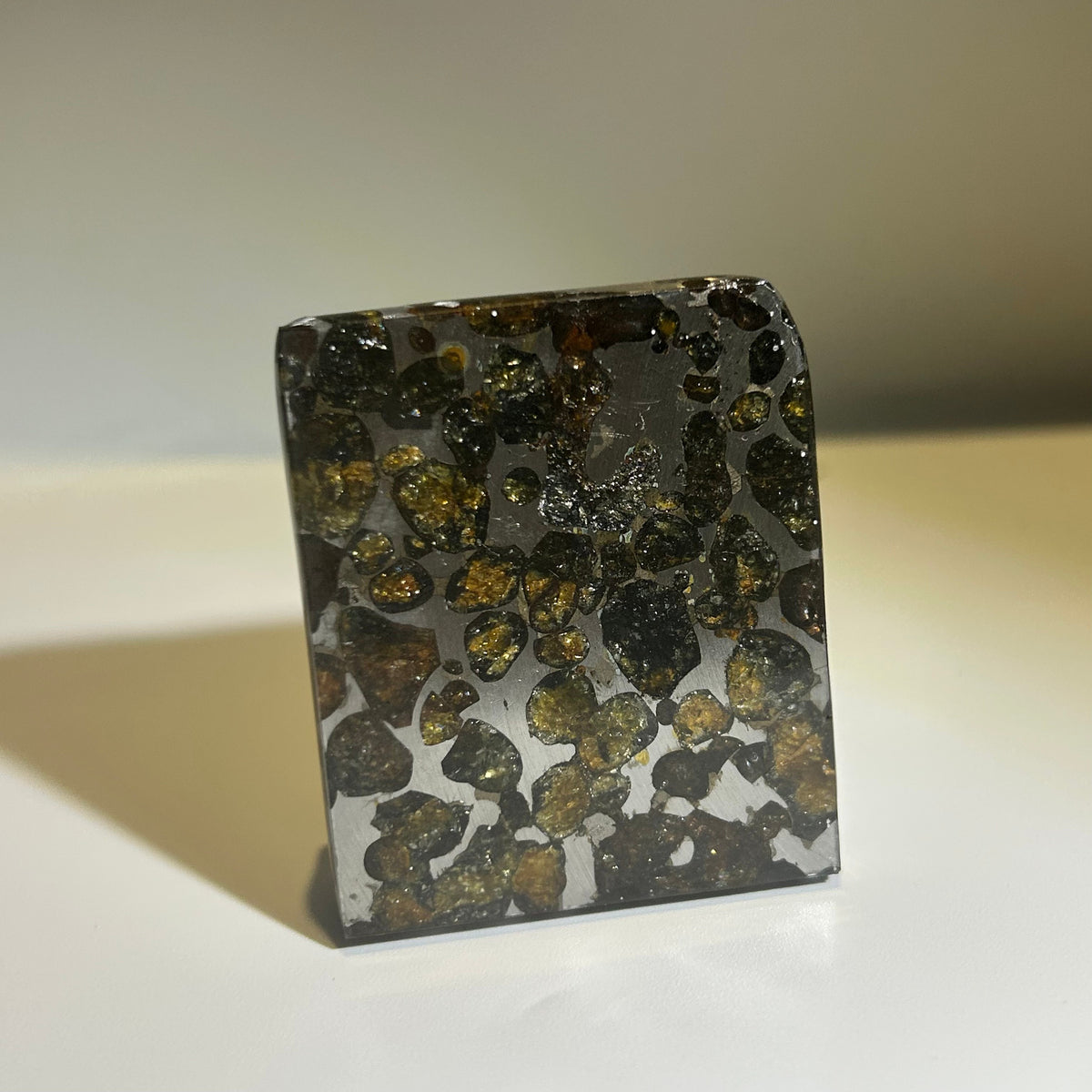 82g Sericho Pallasite Endcut / Meteorite Slice/ Pallasite Pendant / Meteorite Endcut