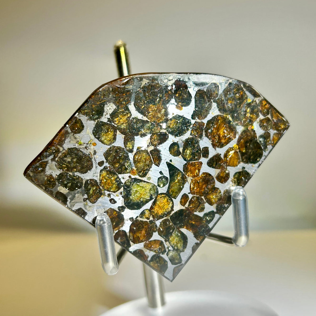 78g Sericho Pallasite Endcut / Meteorite Pendant / Pallasite Slice / Meteorite Specimen