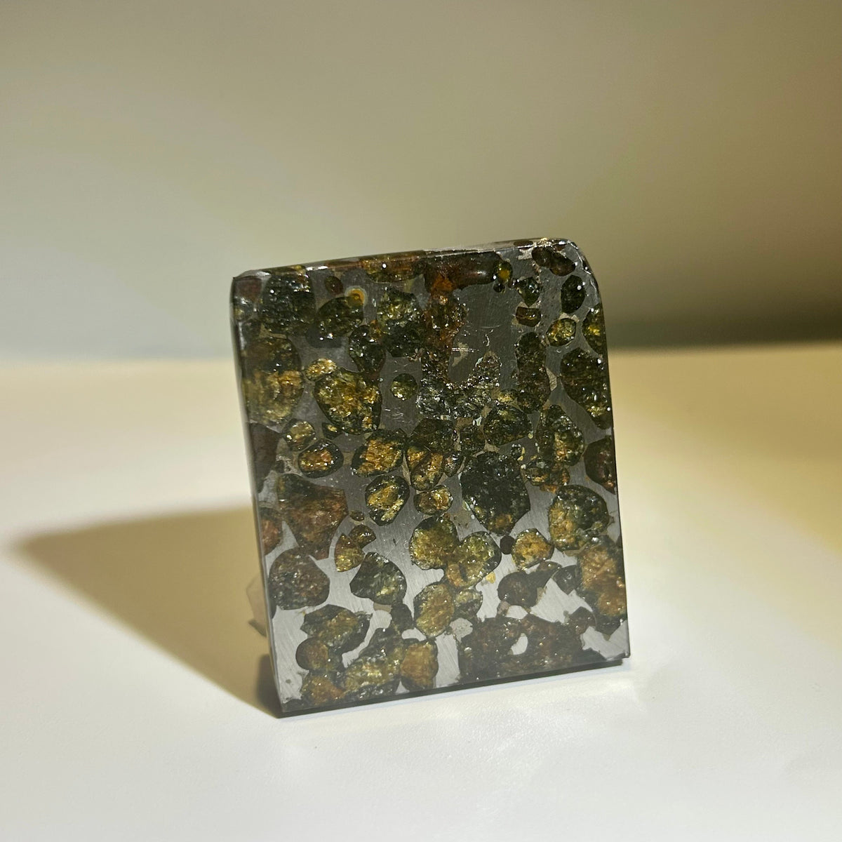 82g Sericho Pallasite Endcut / Meteorite Slice/ Pallasite Pendant / Meteorite Endcut