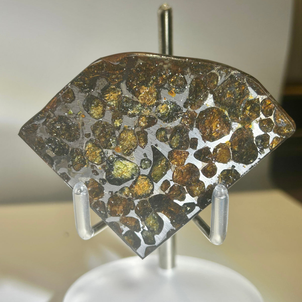 78g Sericho Pallasite Endcut / Meteorite Pendant / Pallasite Slice / Meteorite Specimen