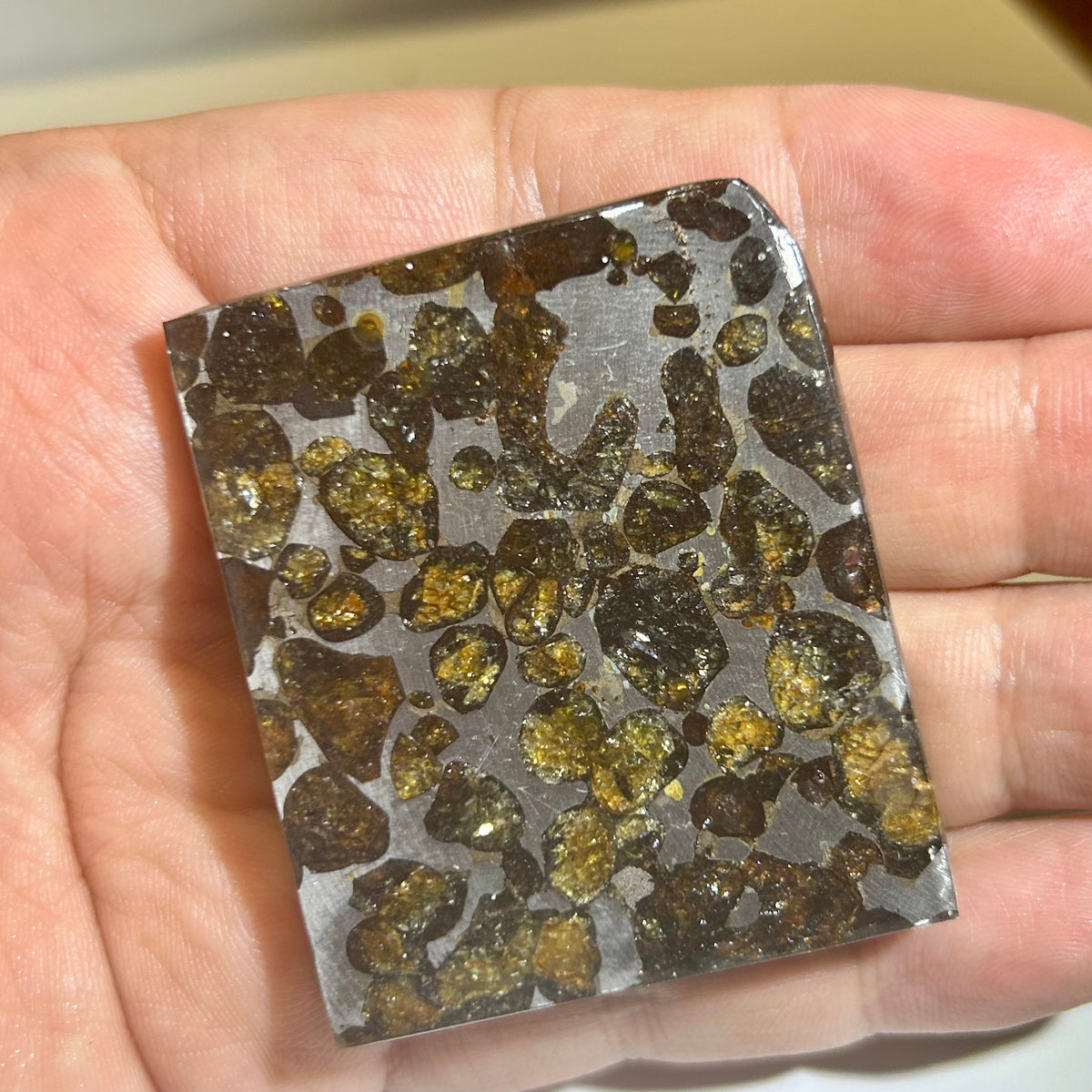 82g Sericho Pallasite Endcut / Meteorite Slice/ Pallasite Pendant / Meteorite Endcut
