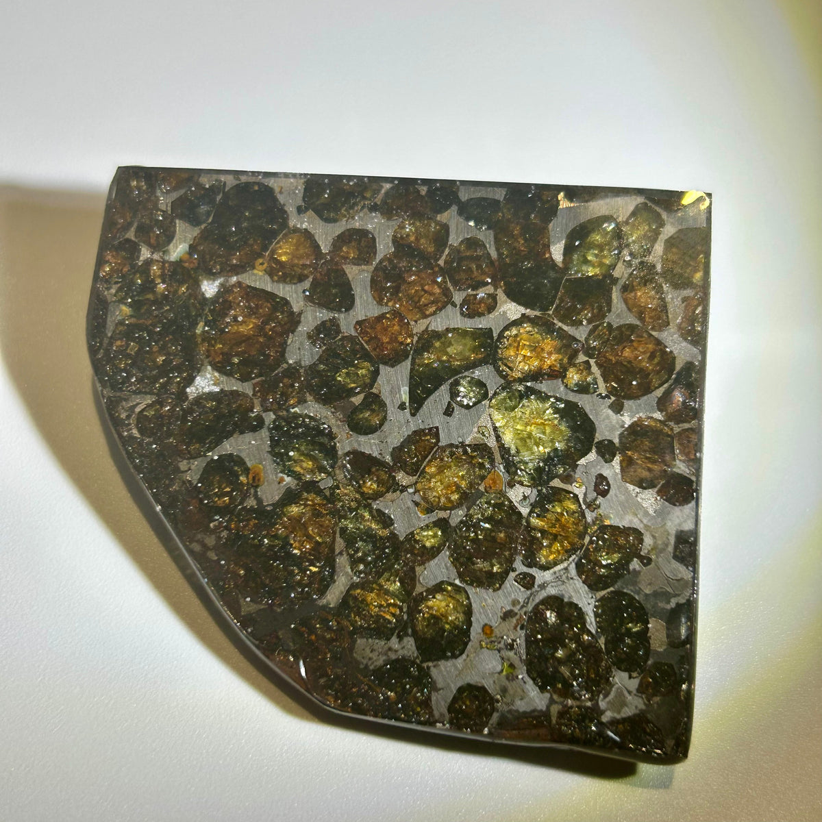 78g Sericho Pallasite Endcut / Meteorite Pendant / Pallasite Slice / Meteorite Specimen