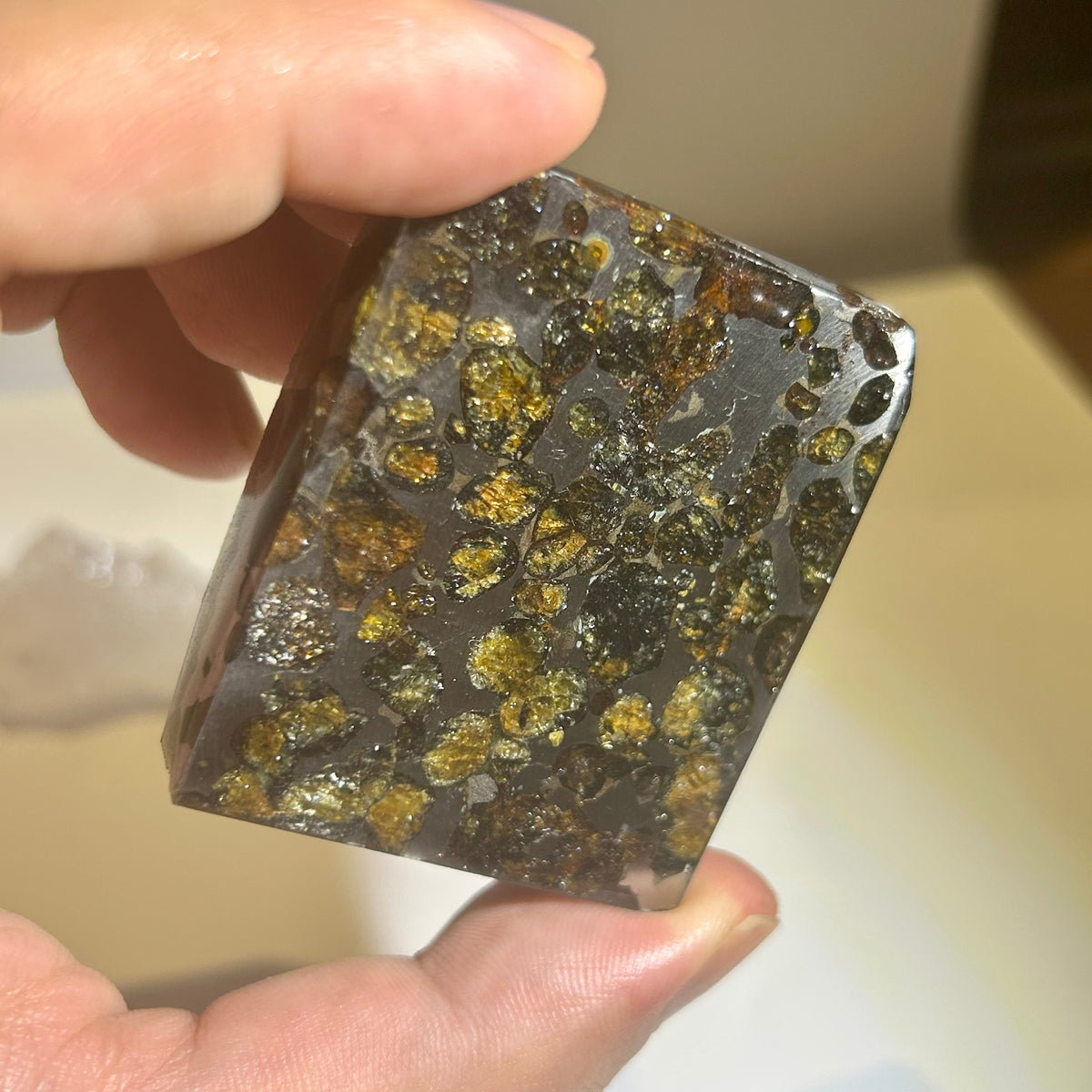 82g Sericho Pallasite Endcut / Meteorite Slice/ Pallasite Pendant / Meteorite Endcut