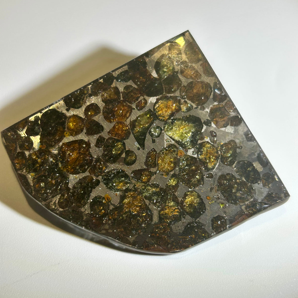 78g Sericho Pallasite Endcut / Meteorite Pendant / Pallasite Slice / Meteorite Specimen