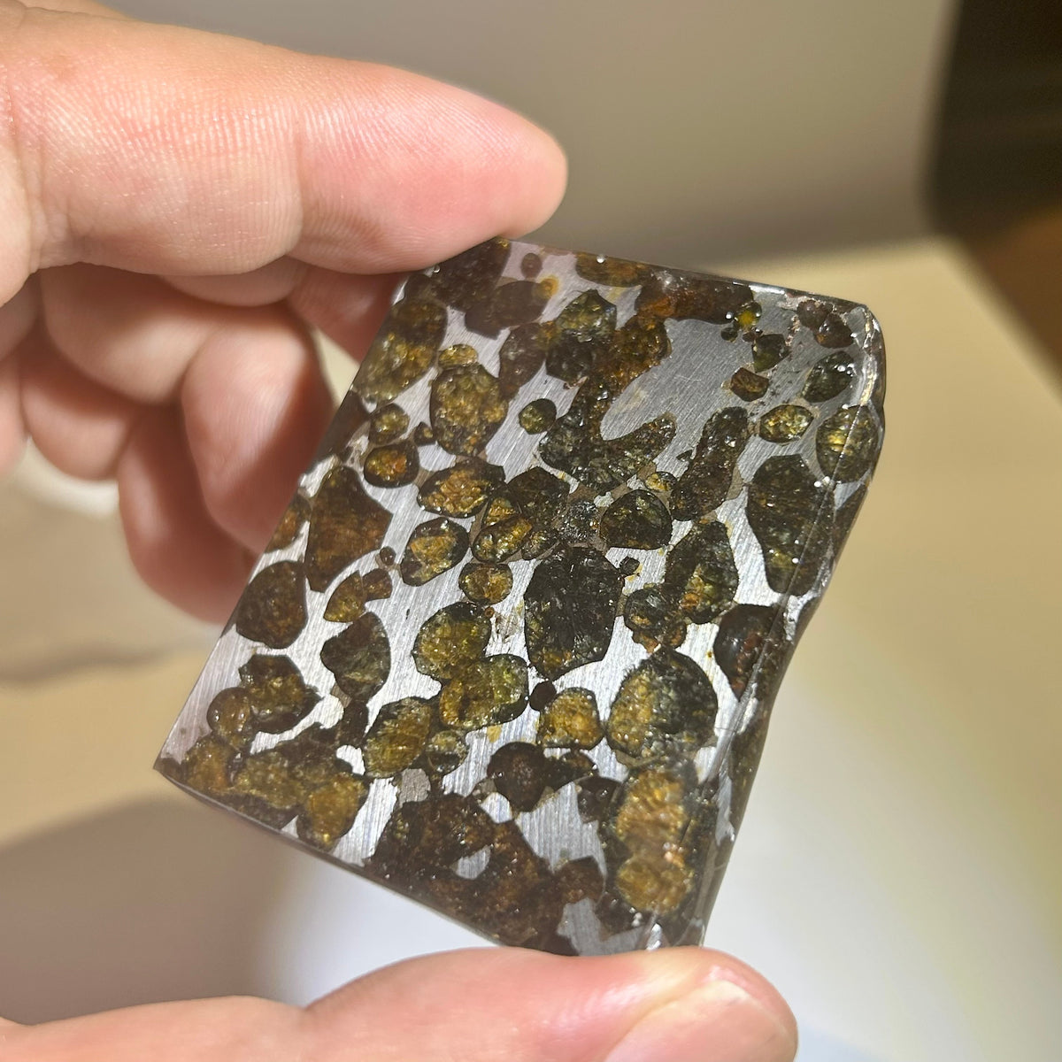 82g Sericho Pallasite Endcut / Meteorite Slice/ Pallasite Pendant / Meteorite Endcut