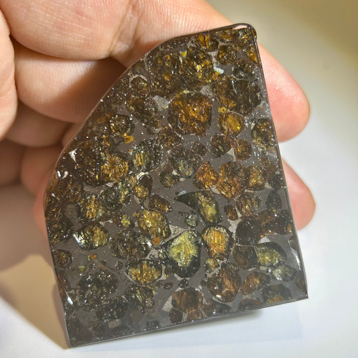 78g Sericho Pallasite Endcut / Meteorite Pendant / Pallasite Slice / Meteorite Specimen