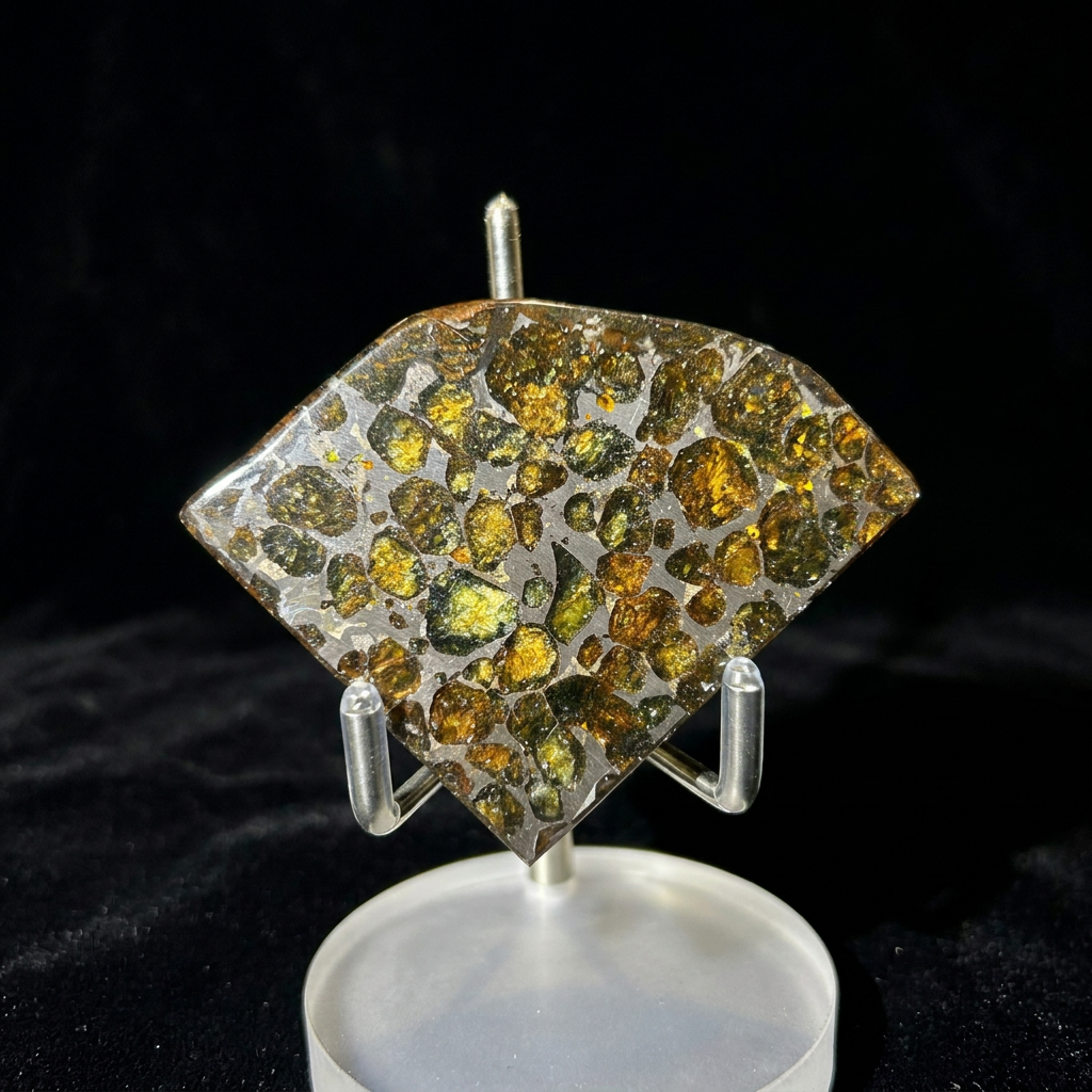 78g Sericho Pallasite Endcut / Meteorite Pendant / Pallasite Slice / Meteorite Specimen
