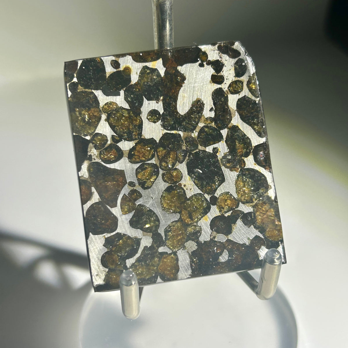 82g Sericho Pallasite Endcut / Meteorite Slice/ Pallasite Pendant / Meteorite Endcut