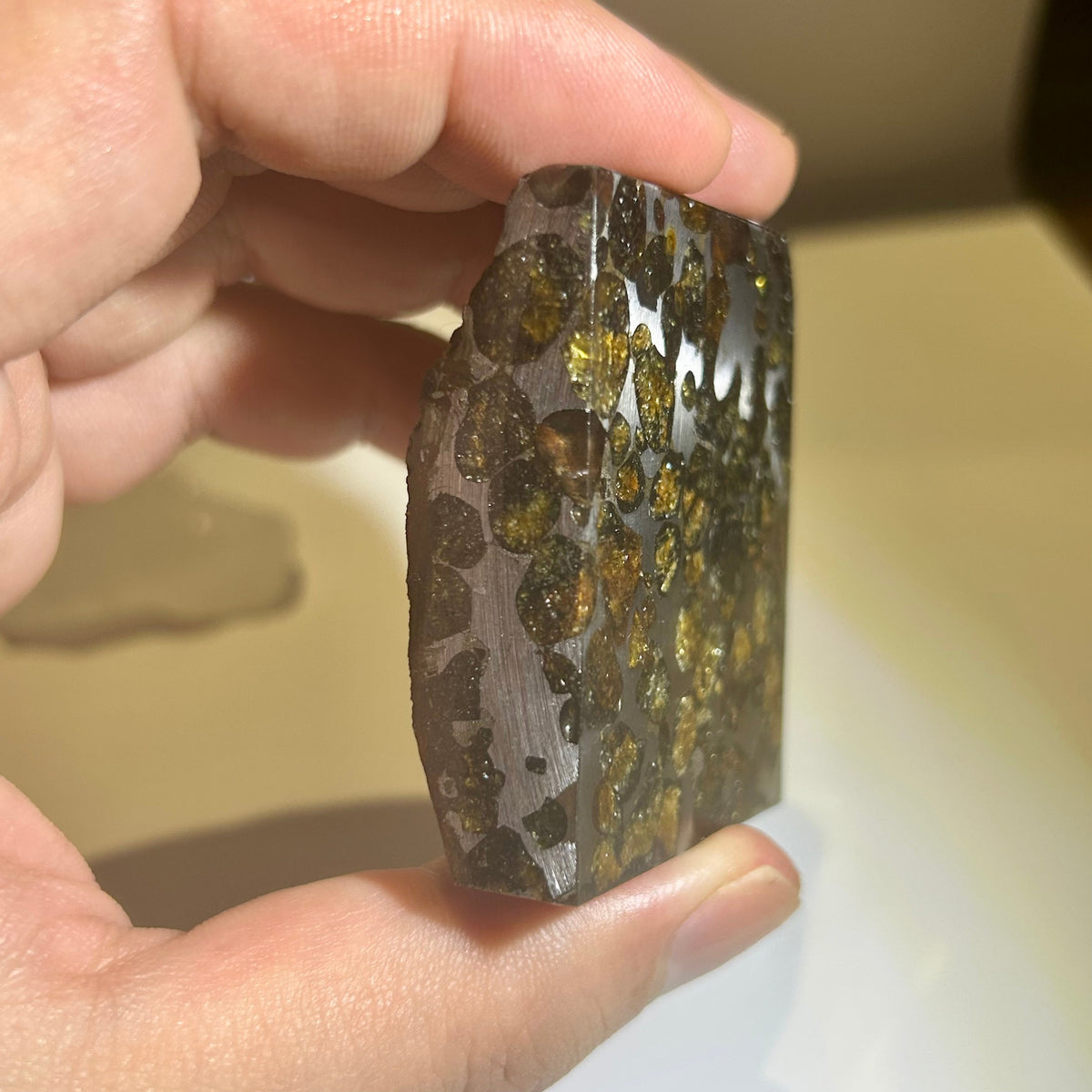 82g Sericho Pallasite Endcut / Meteorite Slice/ Pallasite Pendant / Meteorite Endcut