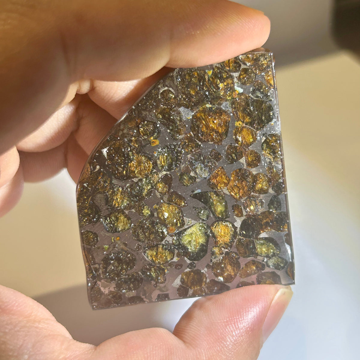 78g Sericho Pallasite Endcut / Meteorite Pendant / Pallasite Slice / Meteorite Specimen
