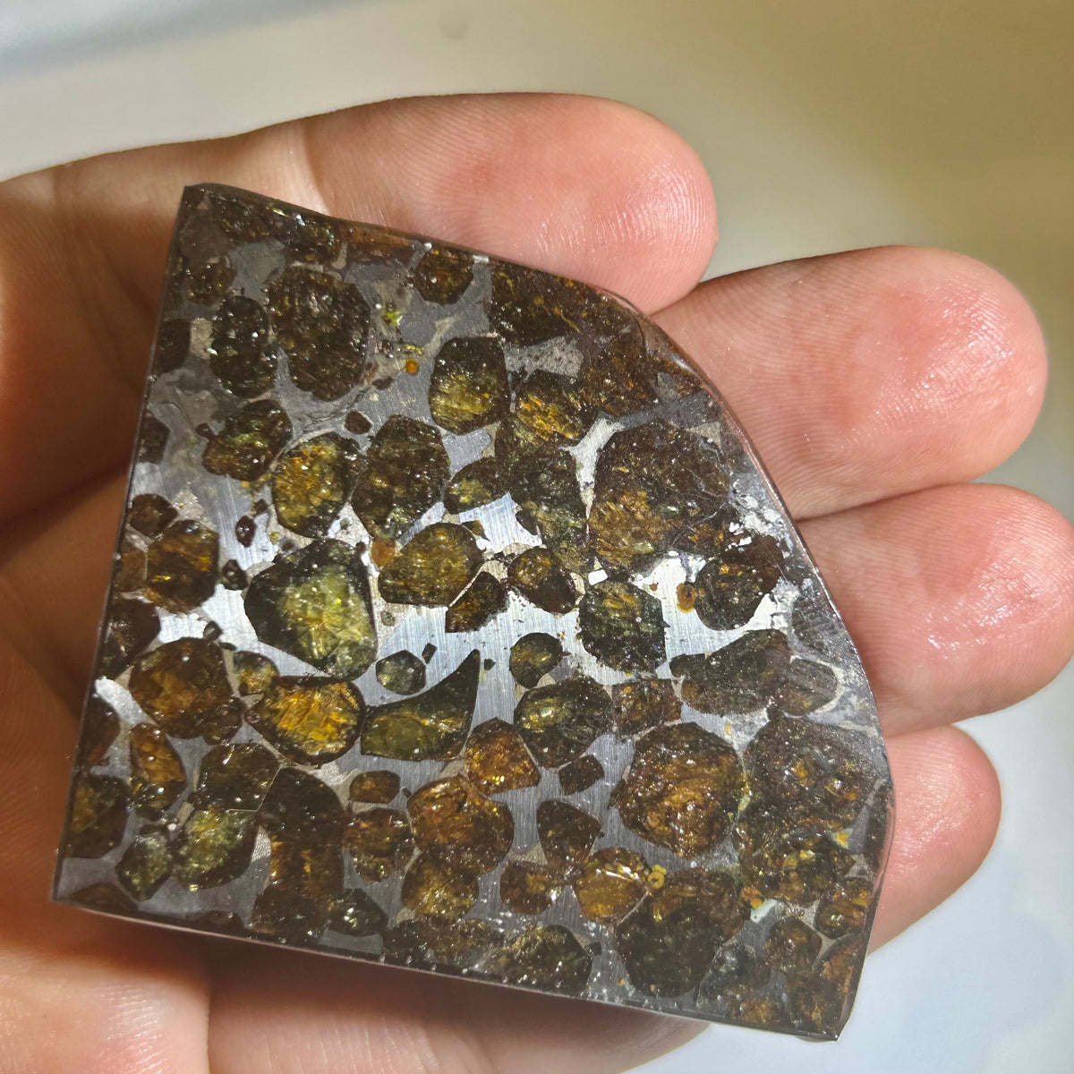 78g Sericho Pallasite Endcut / Meteorite Pendant / Pallasite Slice / Meteorite Specimen