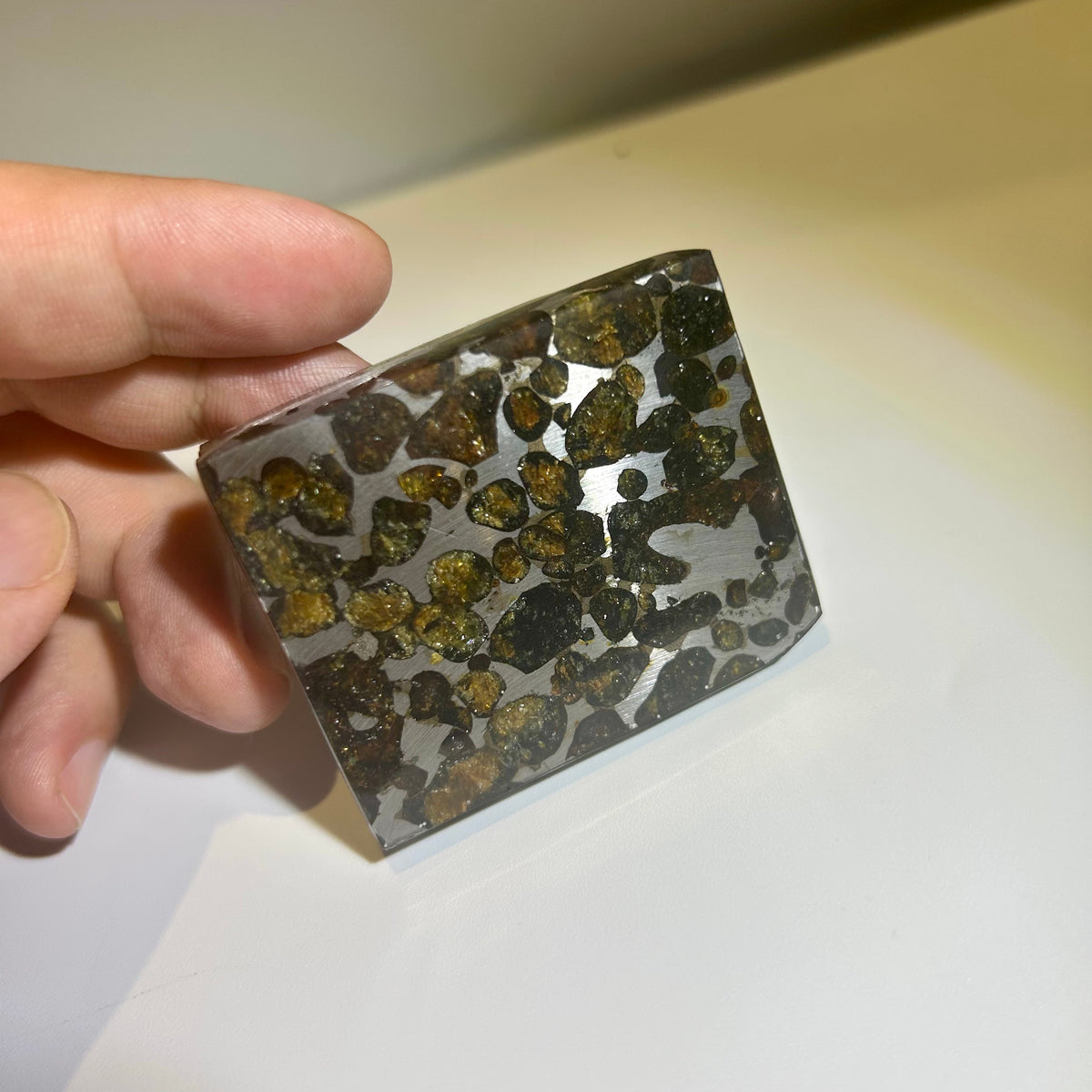 82g Sericho Pallasite Endcut / Meteorite Slice/ Pallasite Pendant / Meteorite Endcut