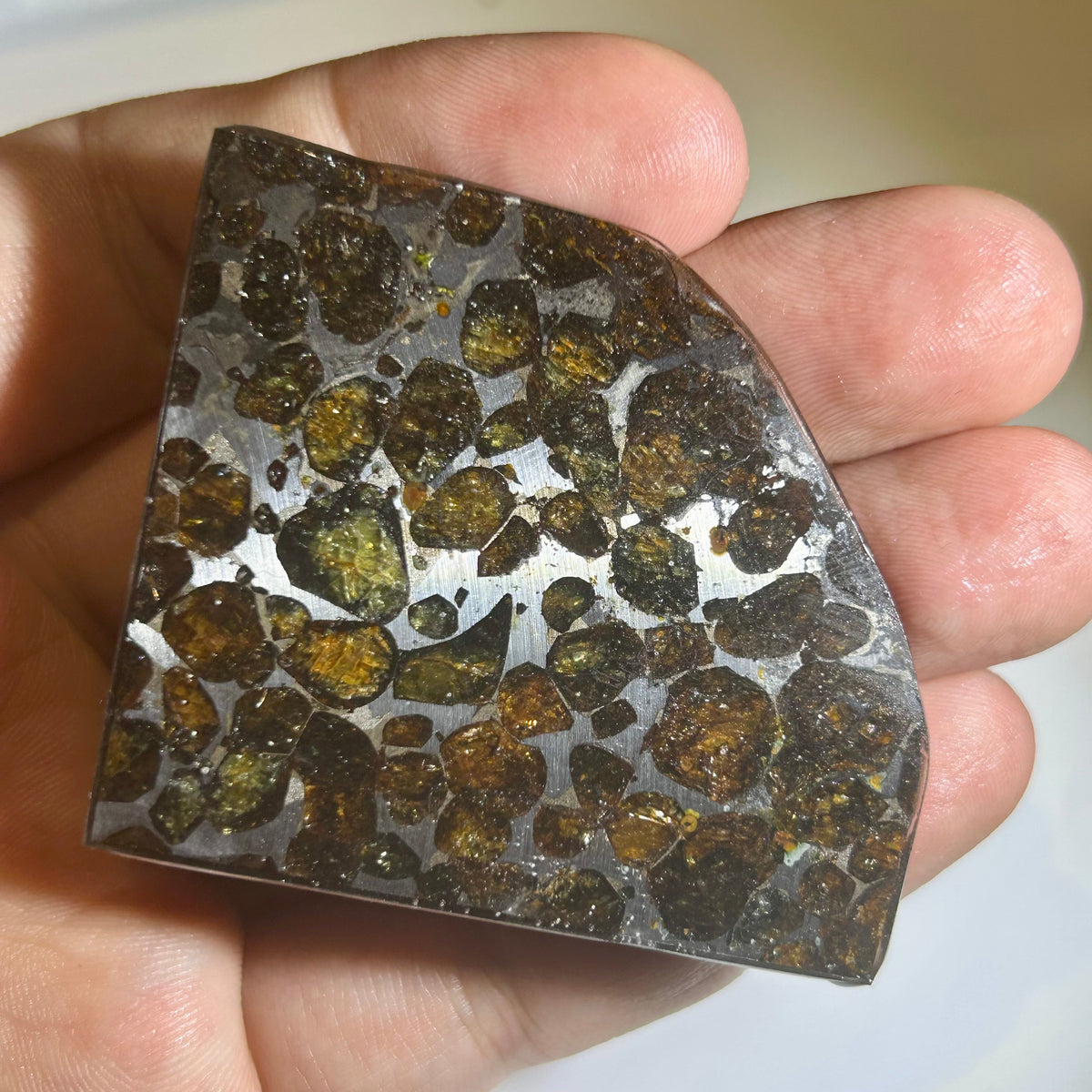78g Sericho Pallasite Endcut / Meteorite Pendant / Pallasite Slice / Meteorite Specimen
