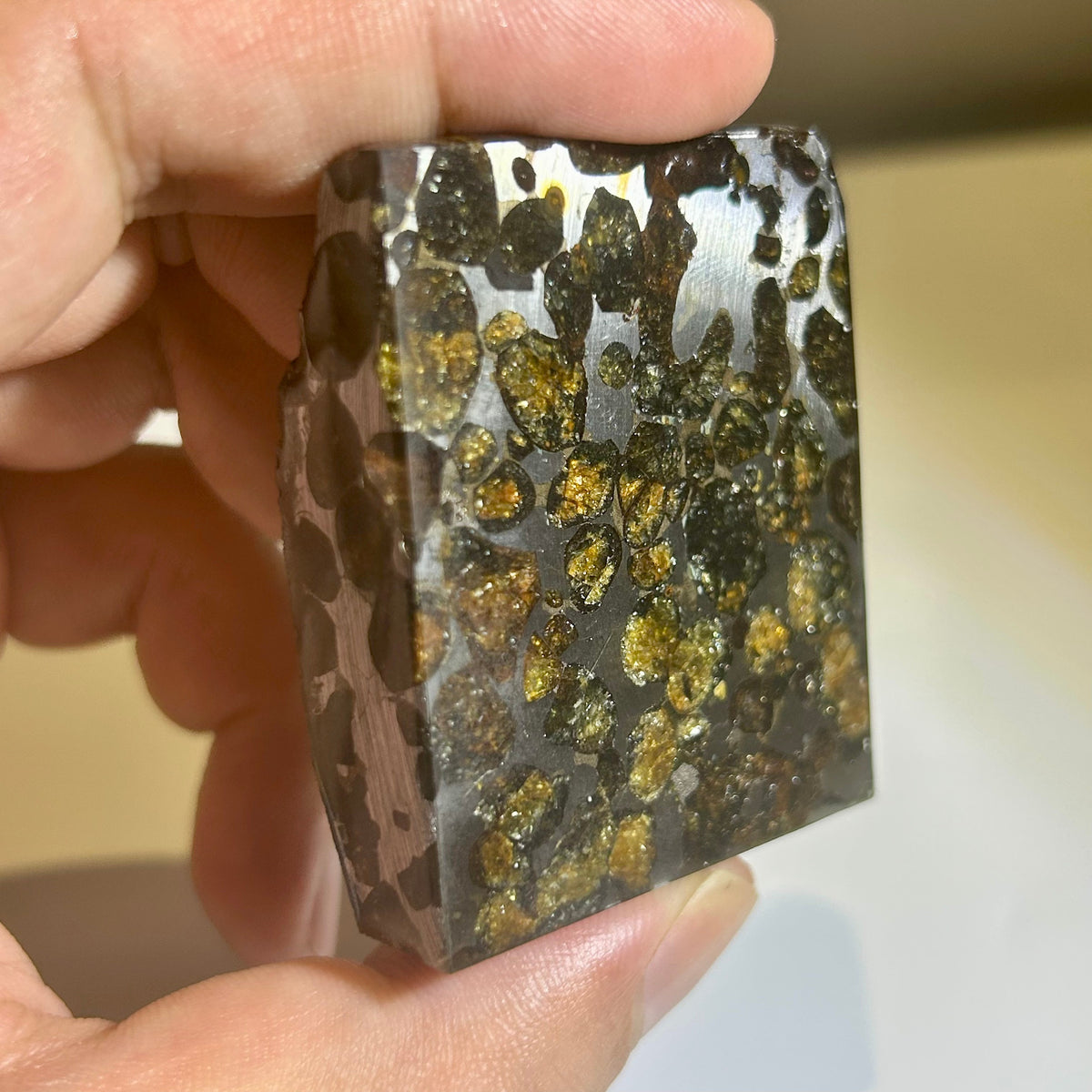 82g Sericho Pallasite Endcut / Meteorite Slice/ Pallasite Pendant / Meteorite Endcut