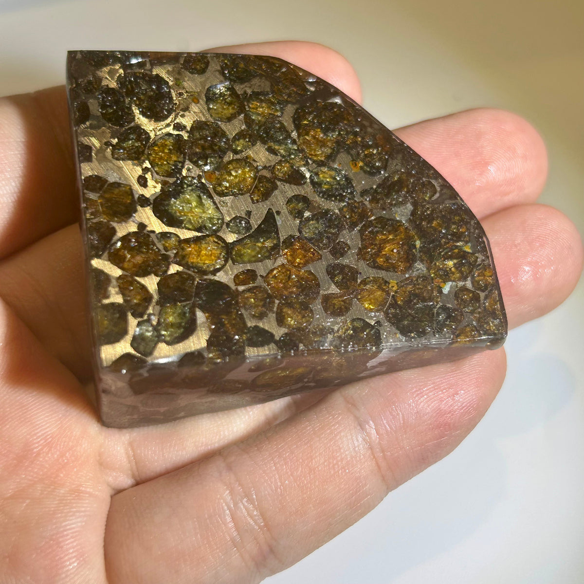 78g Sericho Pallasite Endcut / Meteorite Pendant / Pallasite Slice / Meteorite Specimen