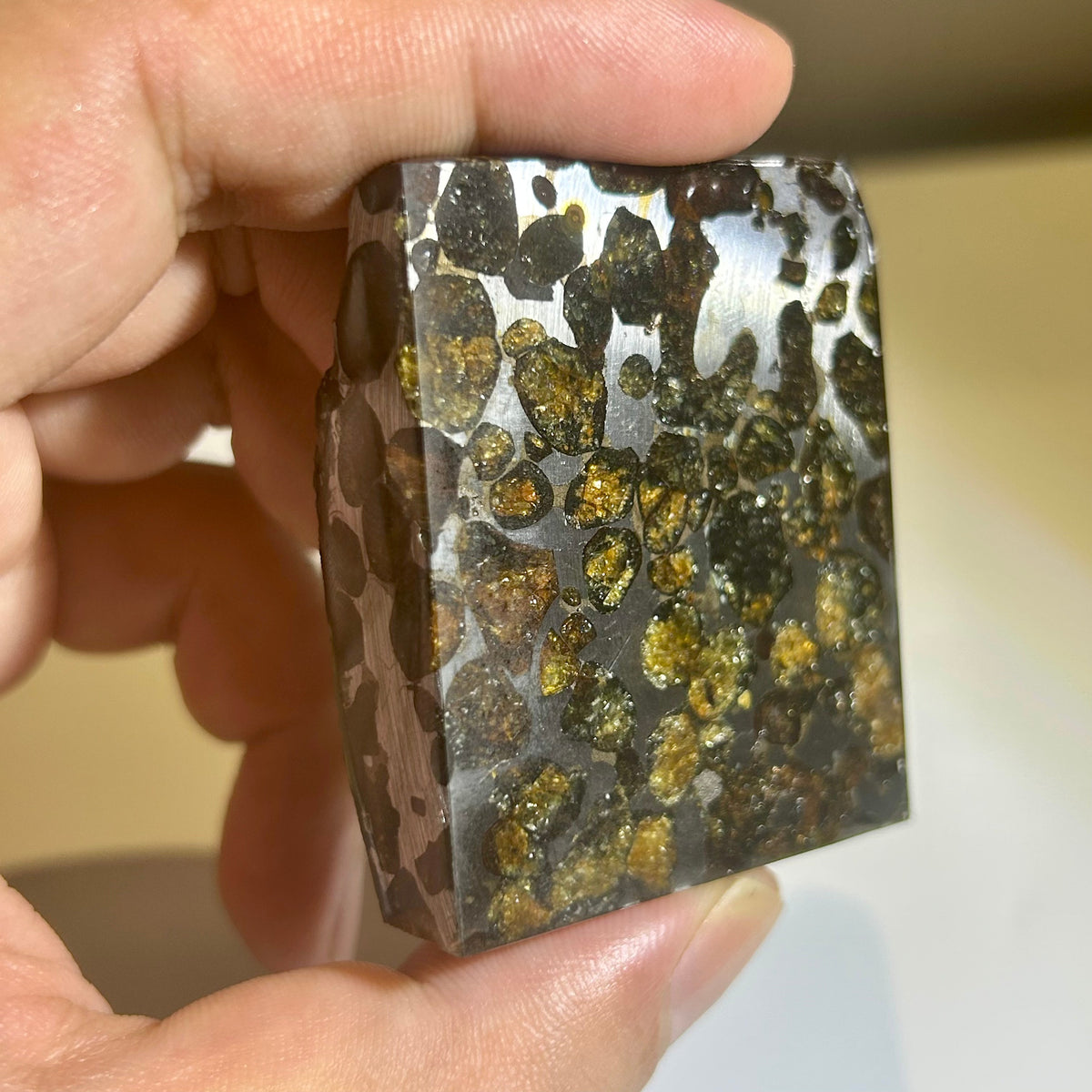 82g Sericho Pallasite Endcut / Meteorite Slice/ Pallasite Pendant / Meteorite Endcut