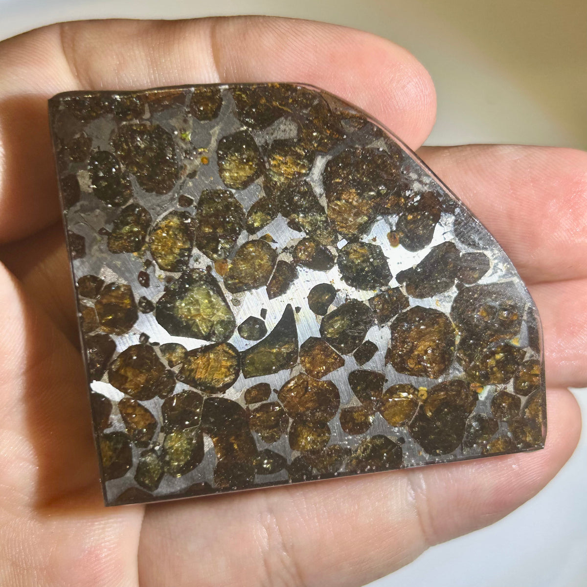 78g Sericho Pallasite Endcut / Meteorite Pendant / Pallasite Slice / Meteorite Specimen