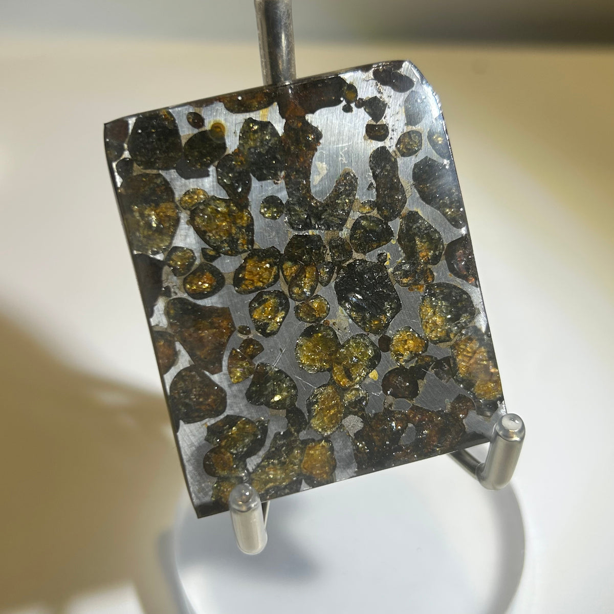 82g Sericho Pallasite Endcut / Meteorite Slice/ Pallasite Pendant / Meteorite Endcut