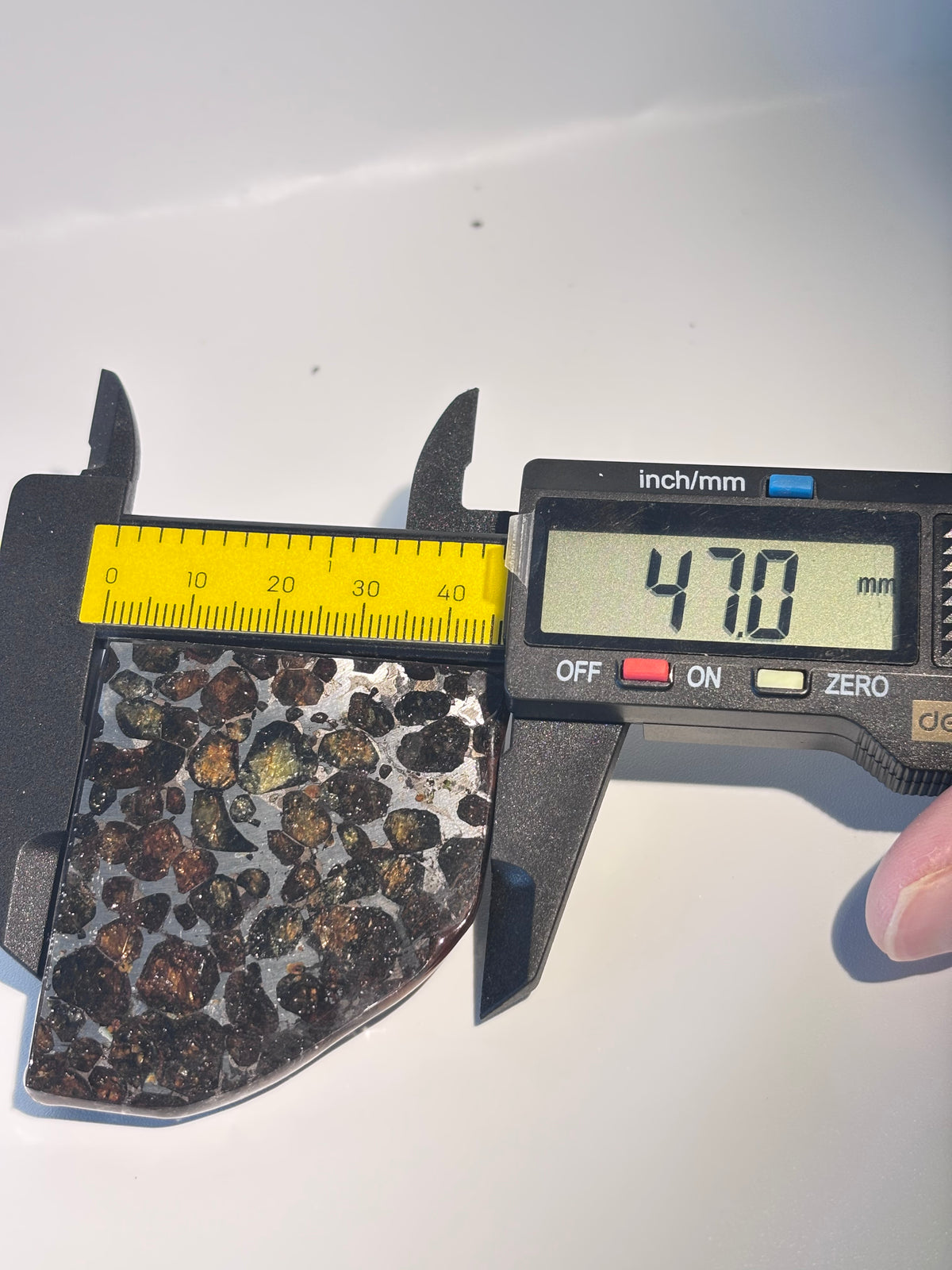 78g Sericho Pallasite Endcut / Meteorite Pendant / Pallasite Slice / Meteorite Specimen