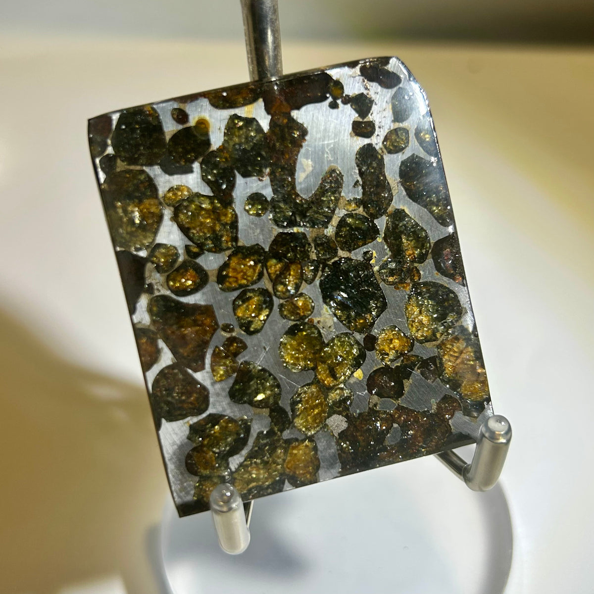 82g Sericho Pallasite Endcut / Meteorite Slice/ Pallasite Pendant / Meteorite Endcut
