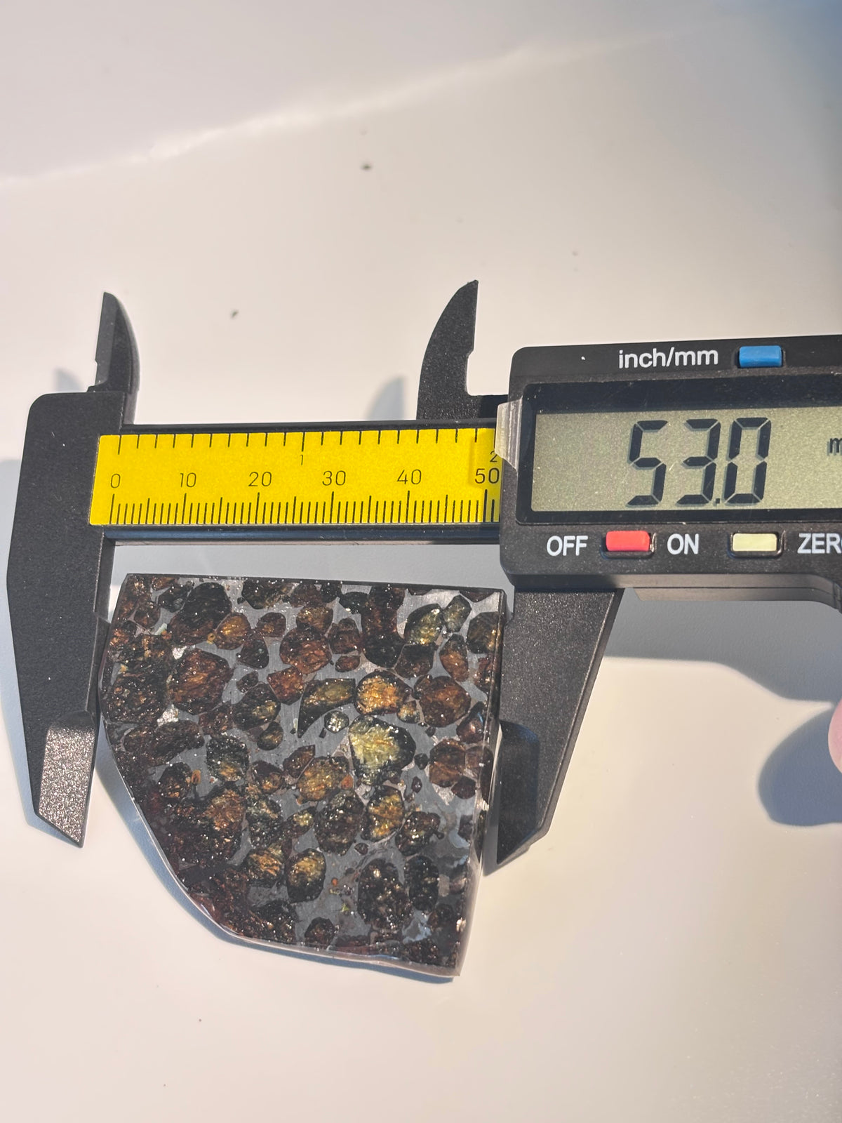 78g Sericho Pallasite Endcut / Meteorite Pendant / Pallasite Slice / Meteorite Specimen