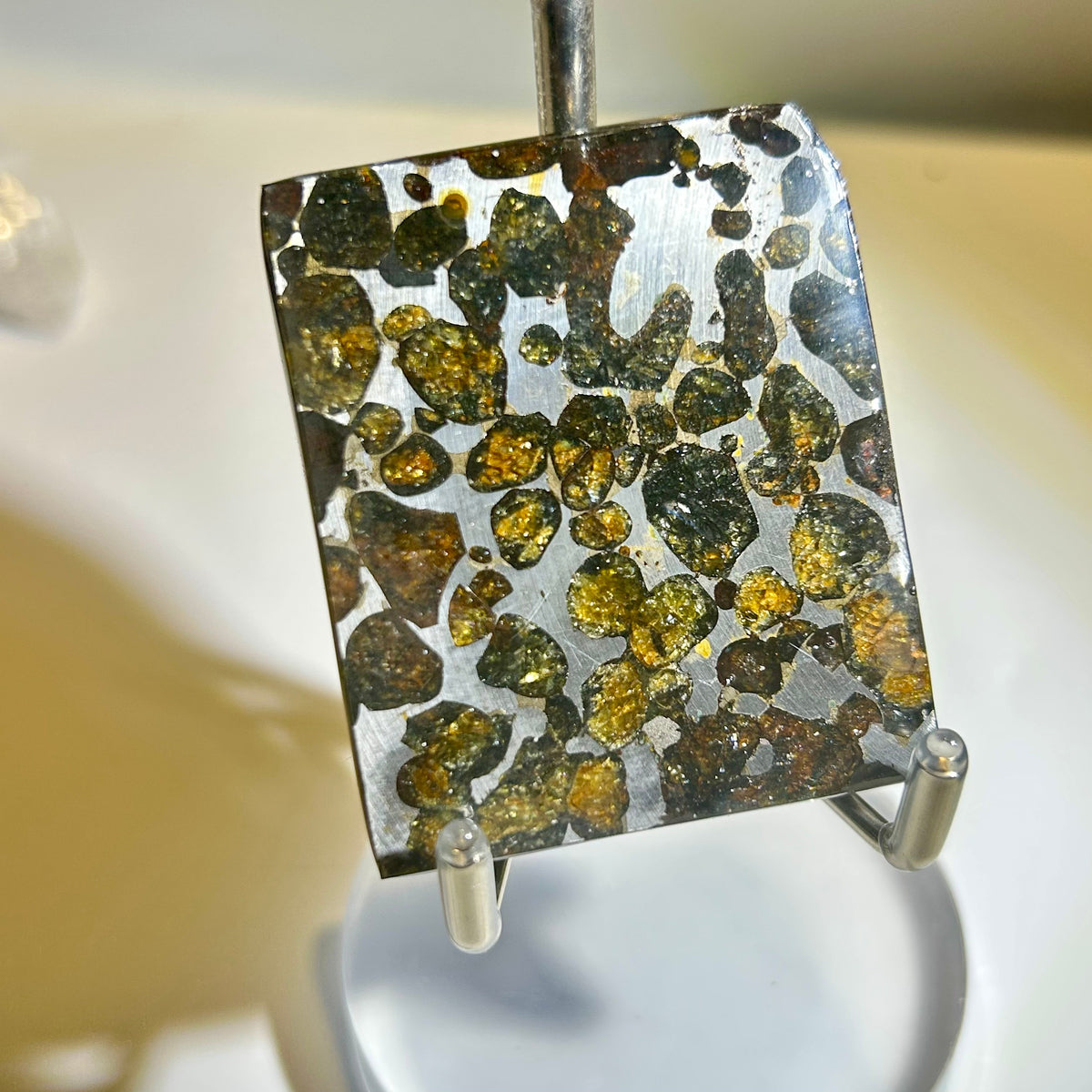 82g Sericho Pallasite Endcut / Meteorite Slice/ Pallasite Pendant / Meteorite Endcut