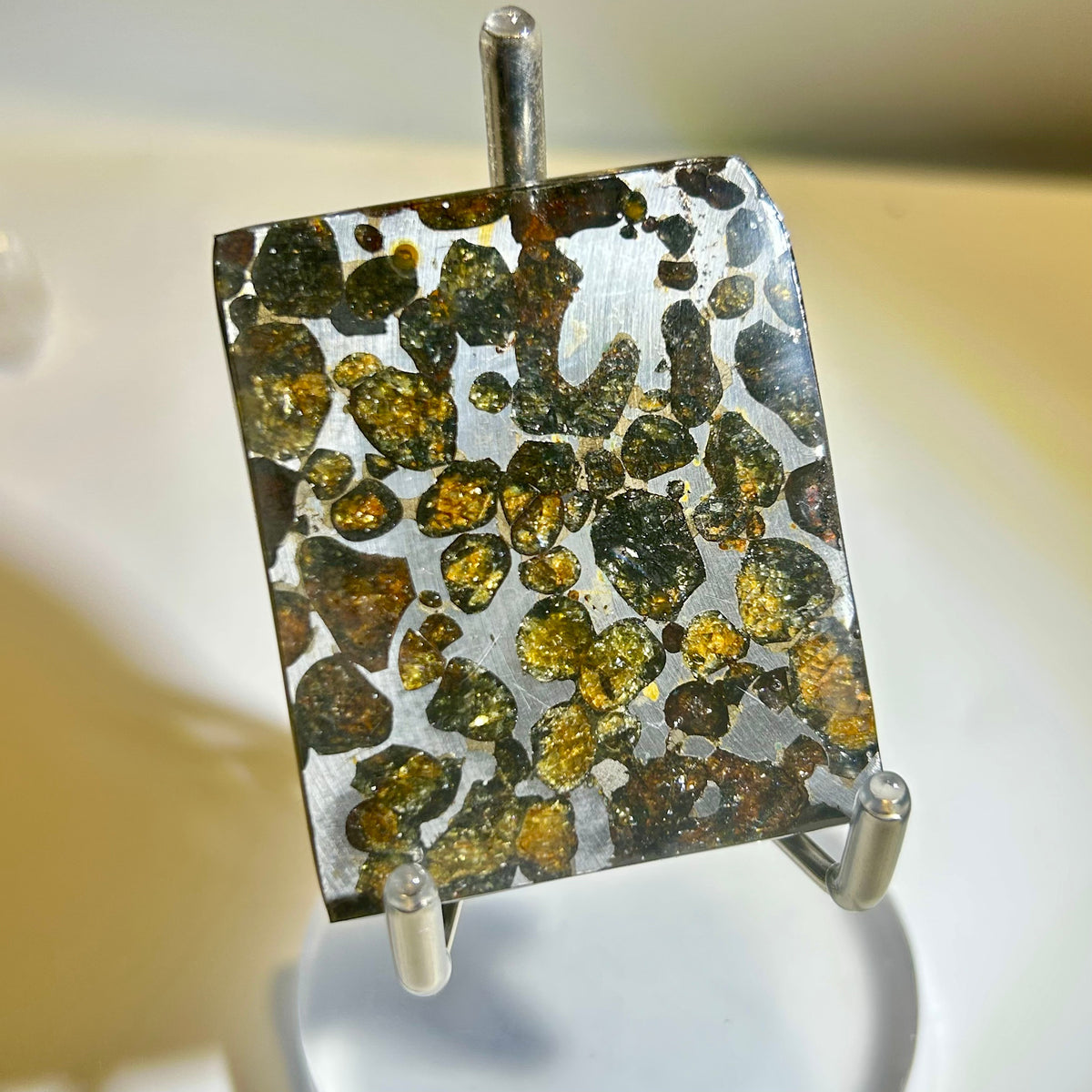82g Sericho Pallasite Endcut / Meteorite Slice/ Pallasite Pendant / Meteorite Endcut
