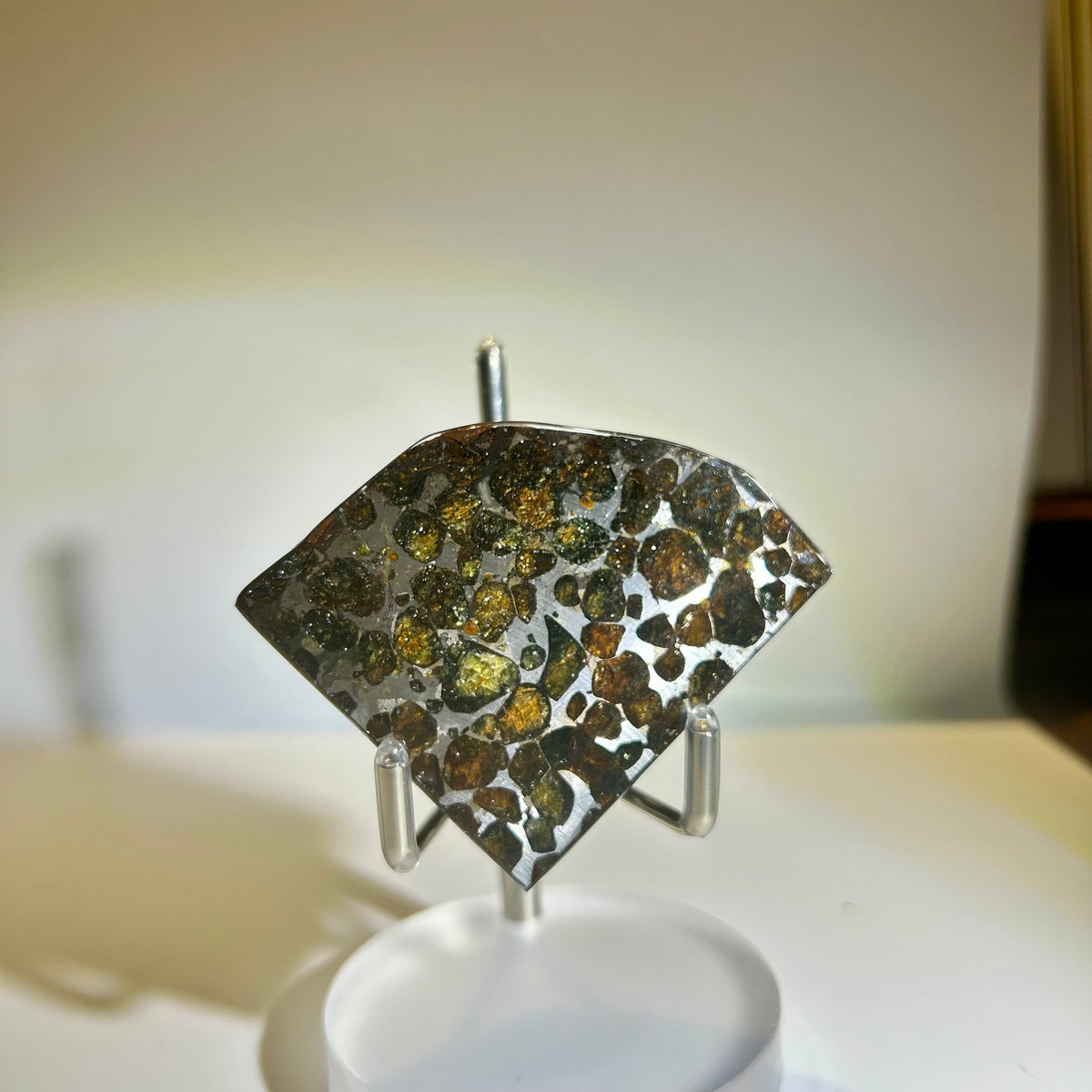 78g Sericho Pallasite Endcut / Meteorite Pendant / Pallasite Slice / Meteorite Specimen