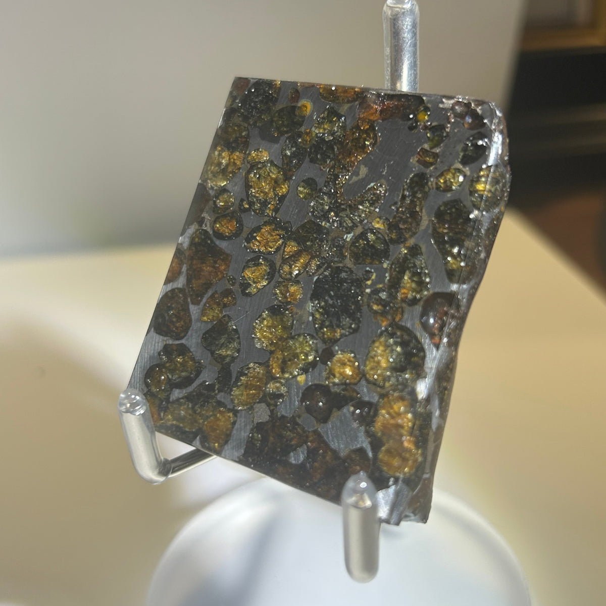 82g Sericho Pallasite Endcut / Meteorite Slice/ Pallasite Pendant / Meteorite Endcut