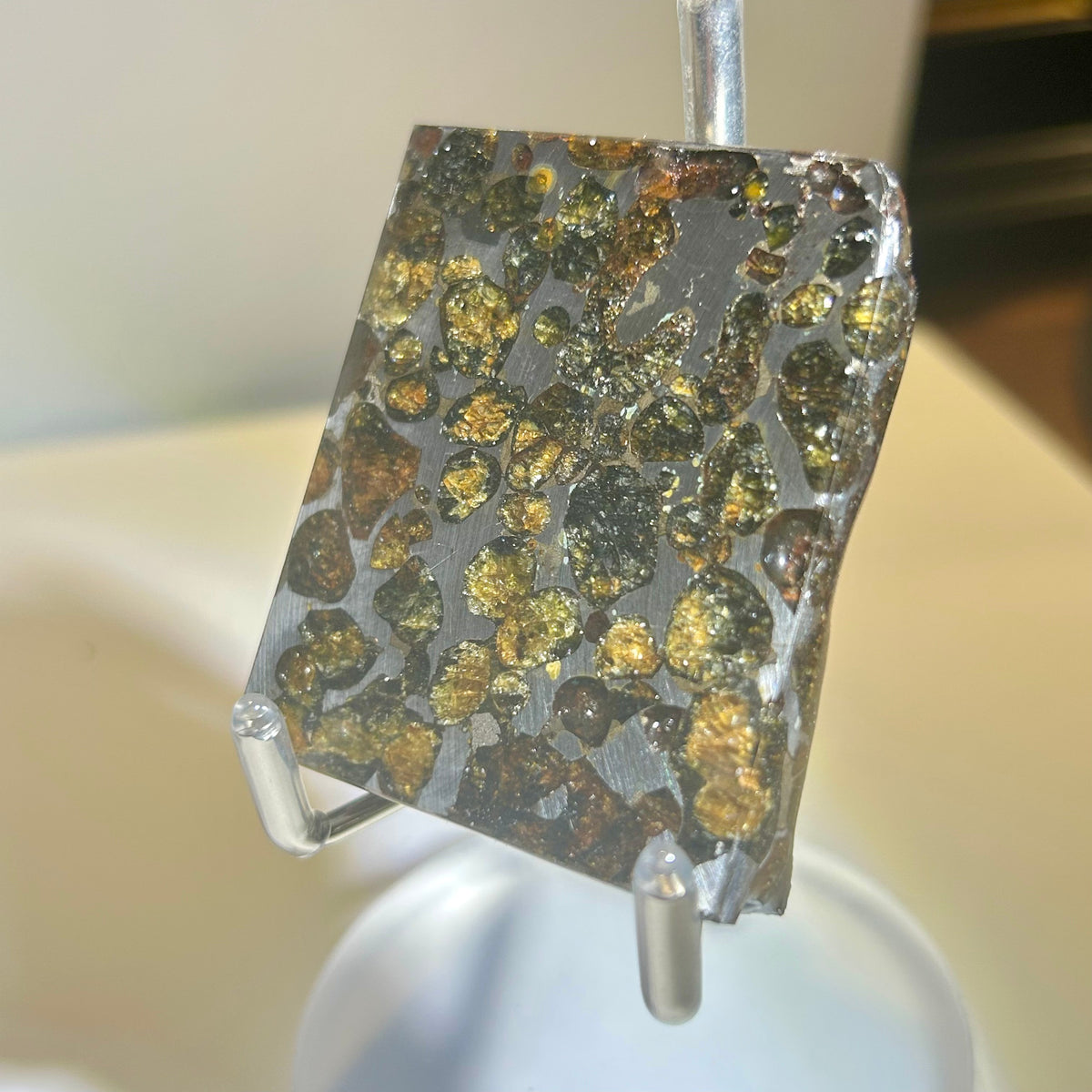 82g Sericho Pallasite Endcut / Meteorite Slice/ Pallasite Pendant / Meteorite Endcut