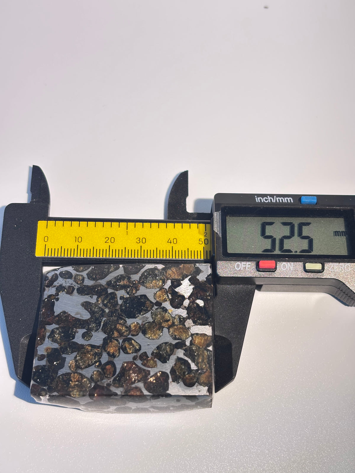 82g Sericho Pallasite Endcut / Meteorite Slice/ Pallasite Pendant / Meteorite Endcut