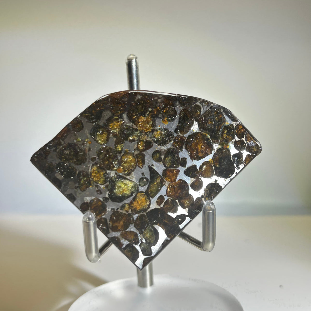 78g Sericho Pallasite Endcut / Meteorite Pendant / Pallasite Slice / Meteorite Specimen