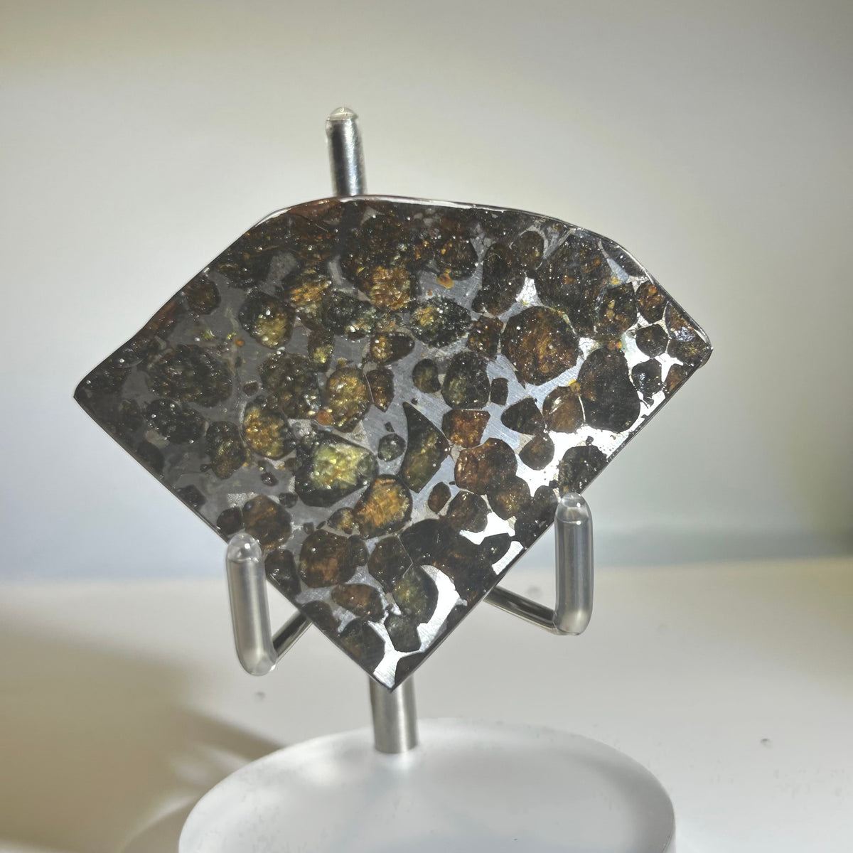 78g Sericho Pallasite Endcut / Meteorite Pendant / Pallasite Slice / Meteorite Specimen