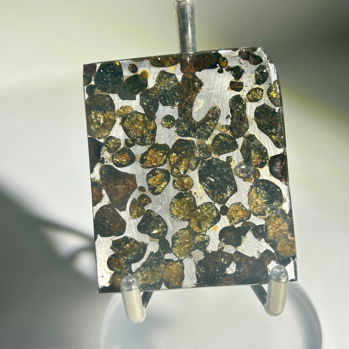 82g Sericho Pallasite Endcut / Meteorite Slice/ Pallasite Pendant / Meteorite Endcut