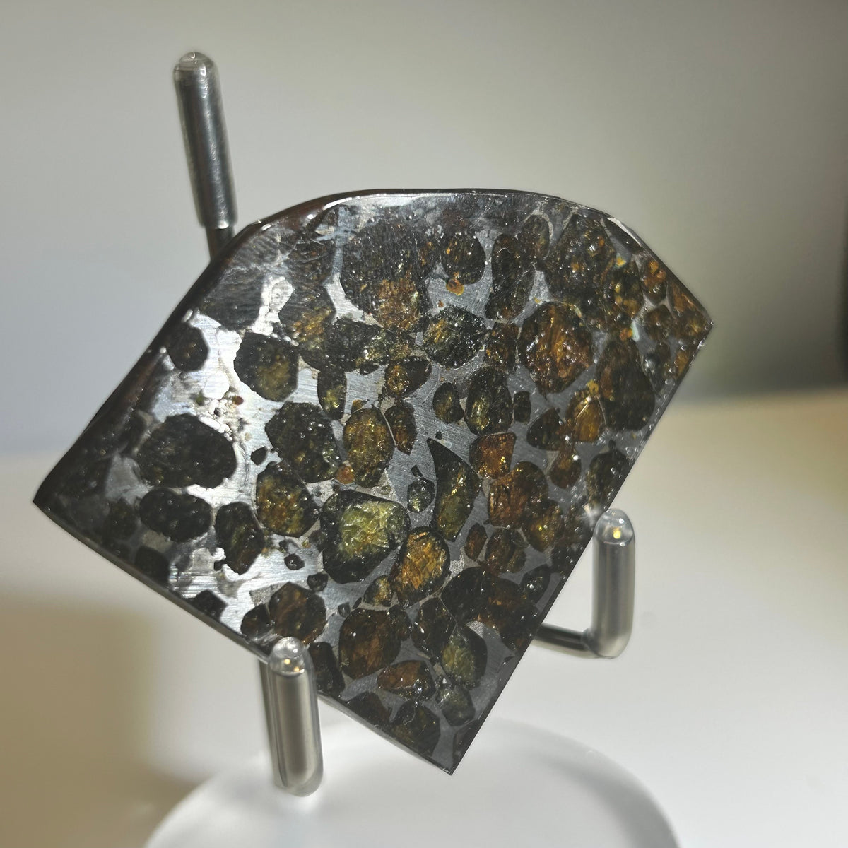 78g Sericho Pallasite Endcut / Meteorite Pendant / Pallasite Slice / Meteorite Specimen
