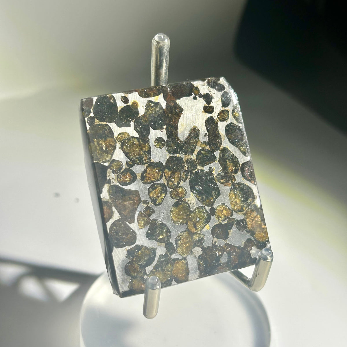 82g Sericho Pallasite Endcut / Meteorite Slice/ Pallasite Pendant / Meteorite Endcut