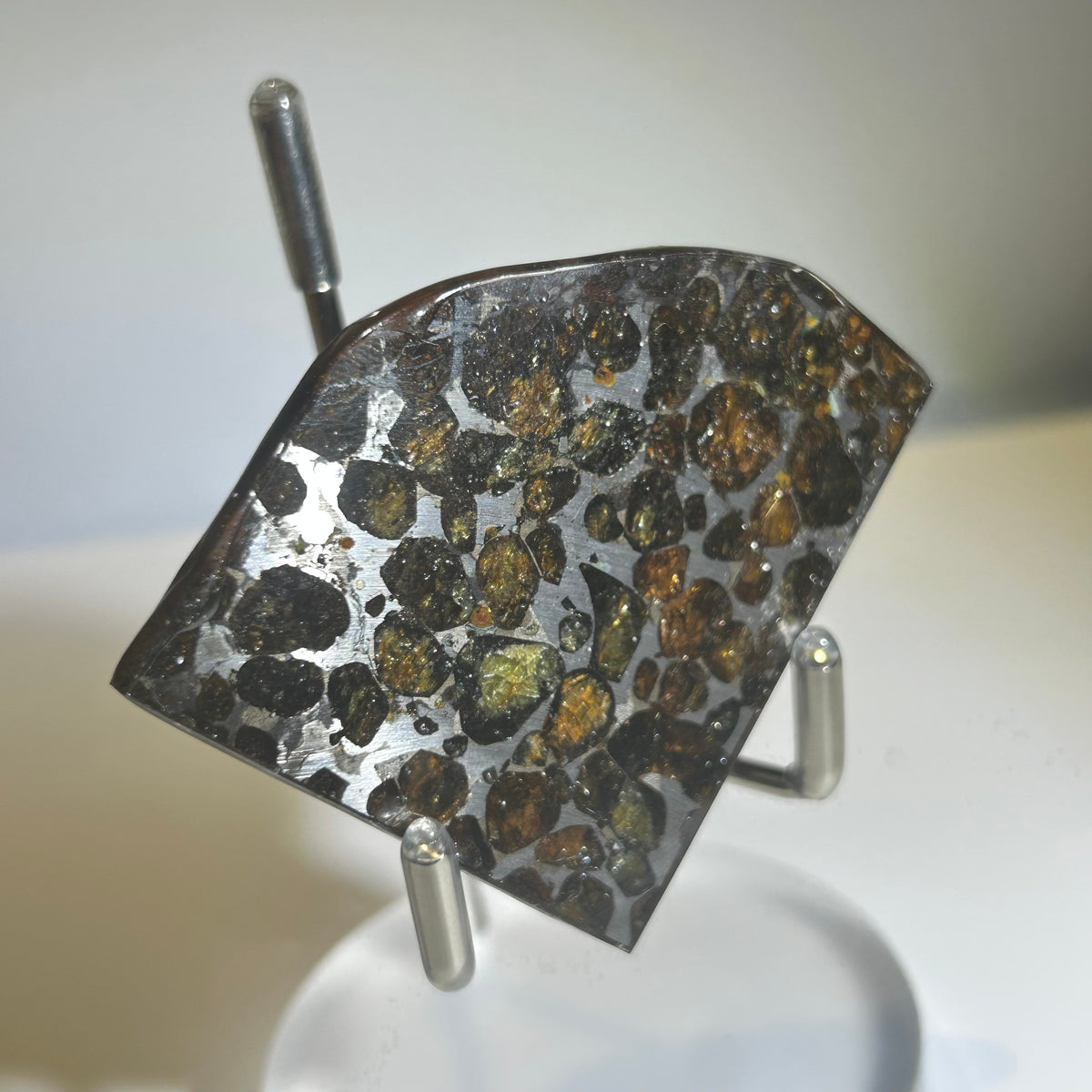 78g Sericho Pallasite Endcut / Meteorite Pendant / Pallasite Slice / Meteorite Specimen